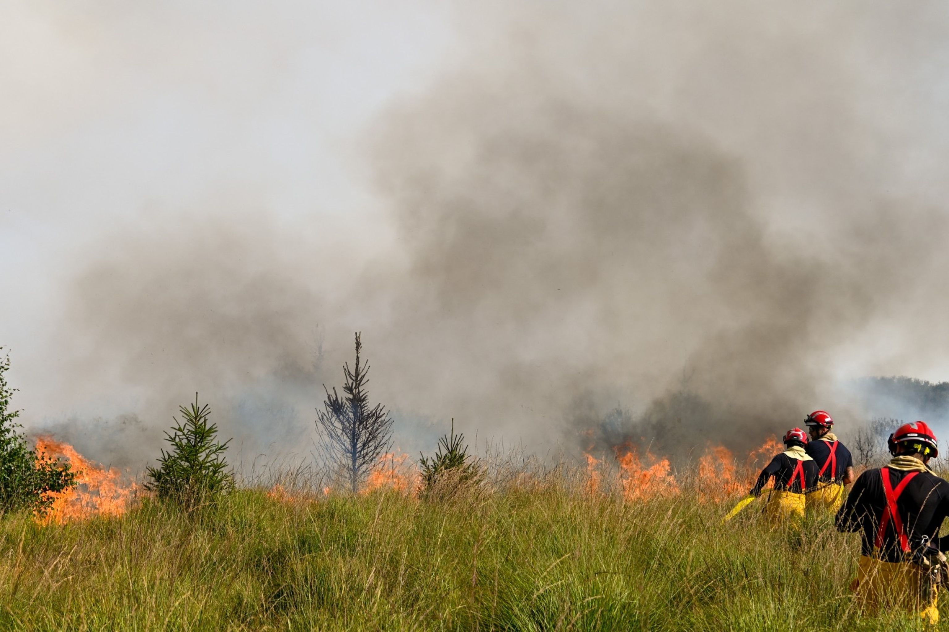 Kräfte der belgischen Feuerwehr rücken im Hohen Venn gegen die Flammen an.