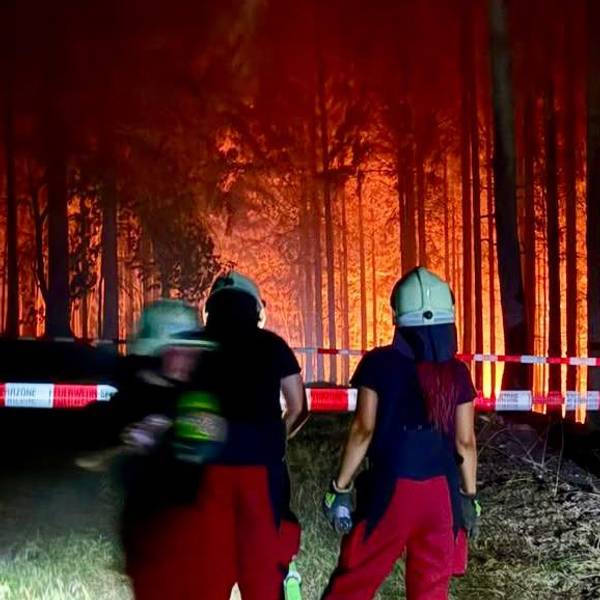 Feuerwehrleute aus Overath stehen an einer Absperrung vor einem brennenden Wald bei Düren.