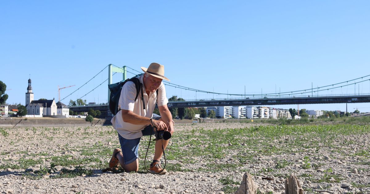 Niedrigwasser-Schatzsuche: Wenn der Rhein seine Geheimnisse preisgibt