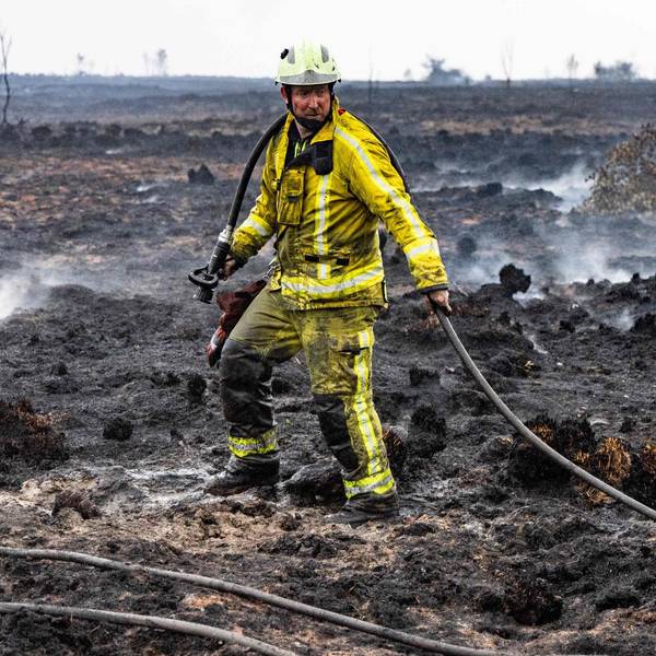 Ein Feuerwehrmann auf einem verbrannten Feld im belgischen Sourbrodt.