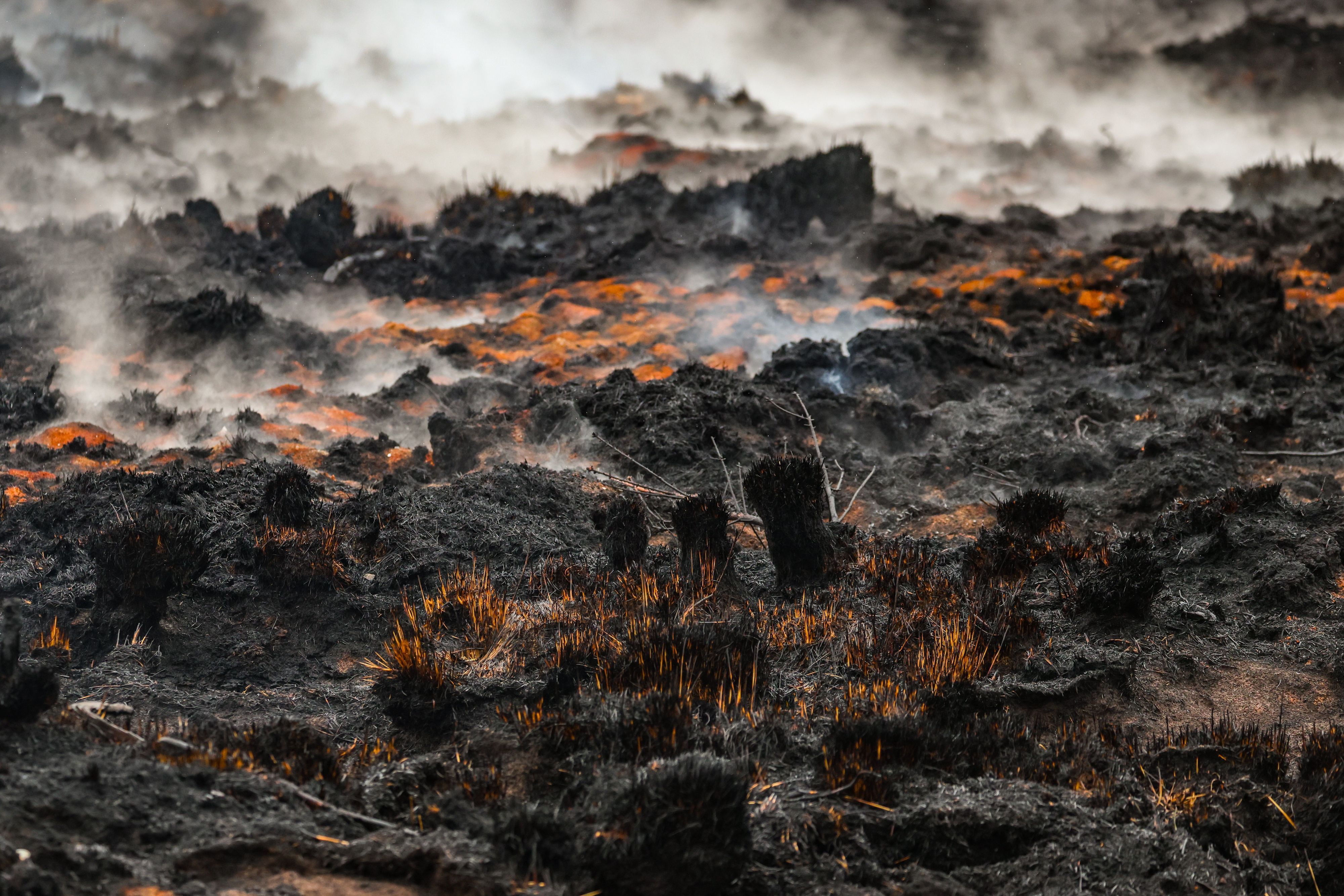 Rauch schwebt über dem schwelenden Boden in der Nähe des Signal de Botrange am Ort des Brandes im Naturschutzgebiet Hohes Venn.