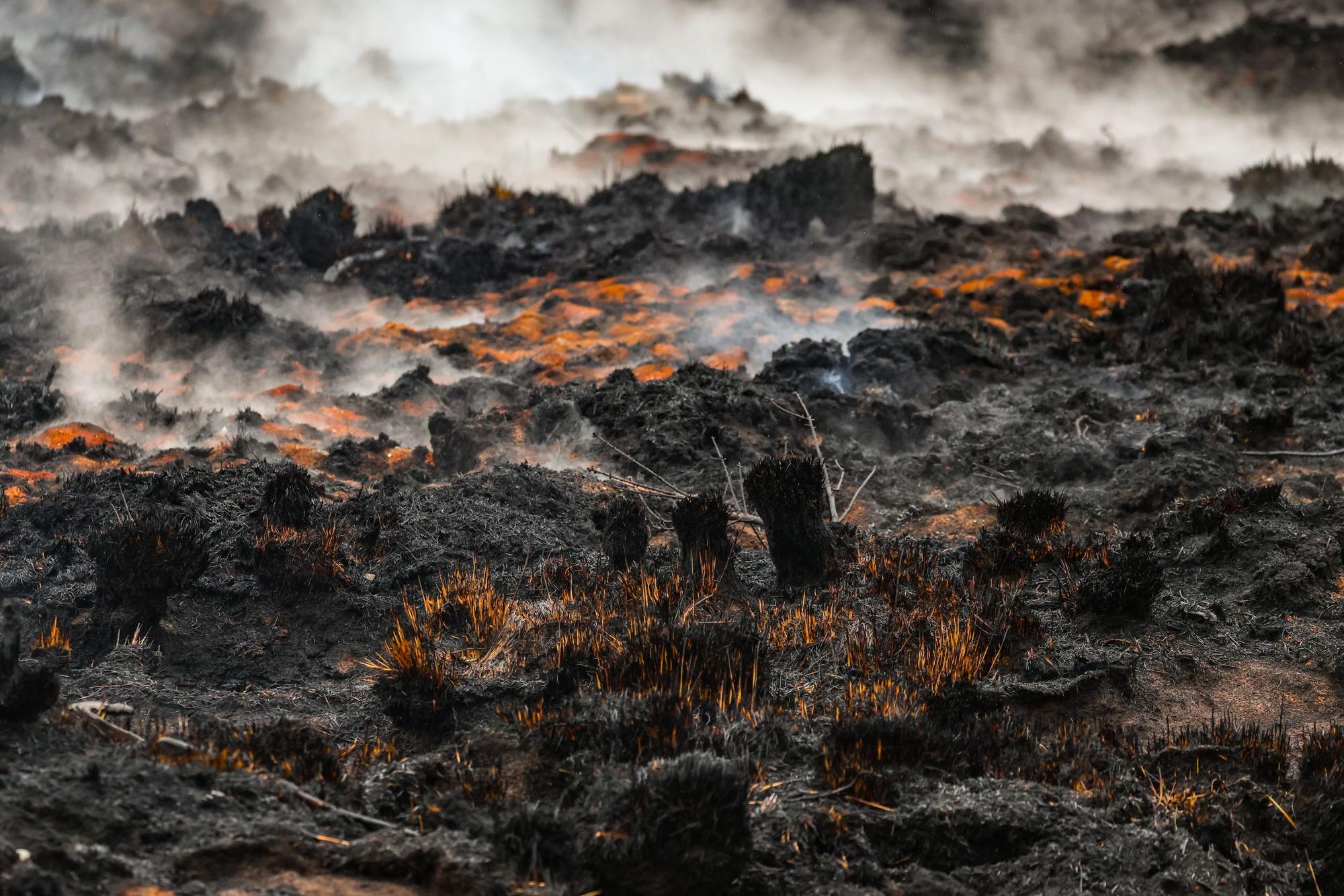 Rauch schwebt über dem schwelenden Boden in der Nähe des Signal de Botrange am Ort des Brandes im Naturschutzgebiet Hohes Venn.
