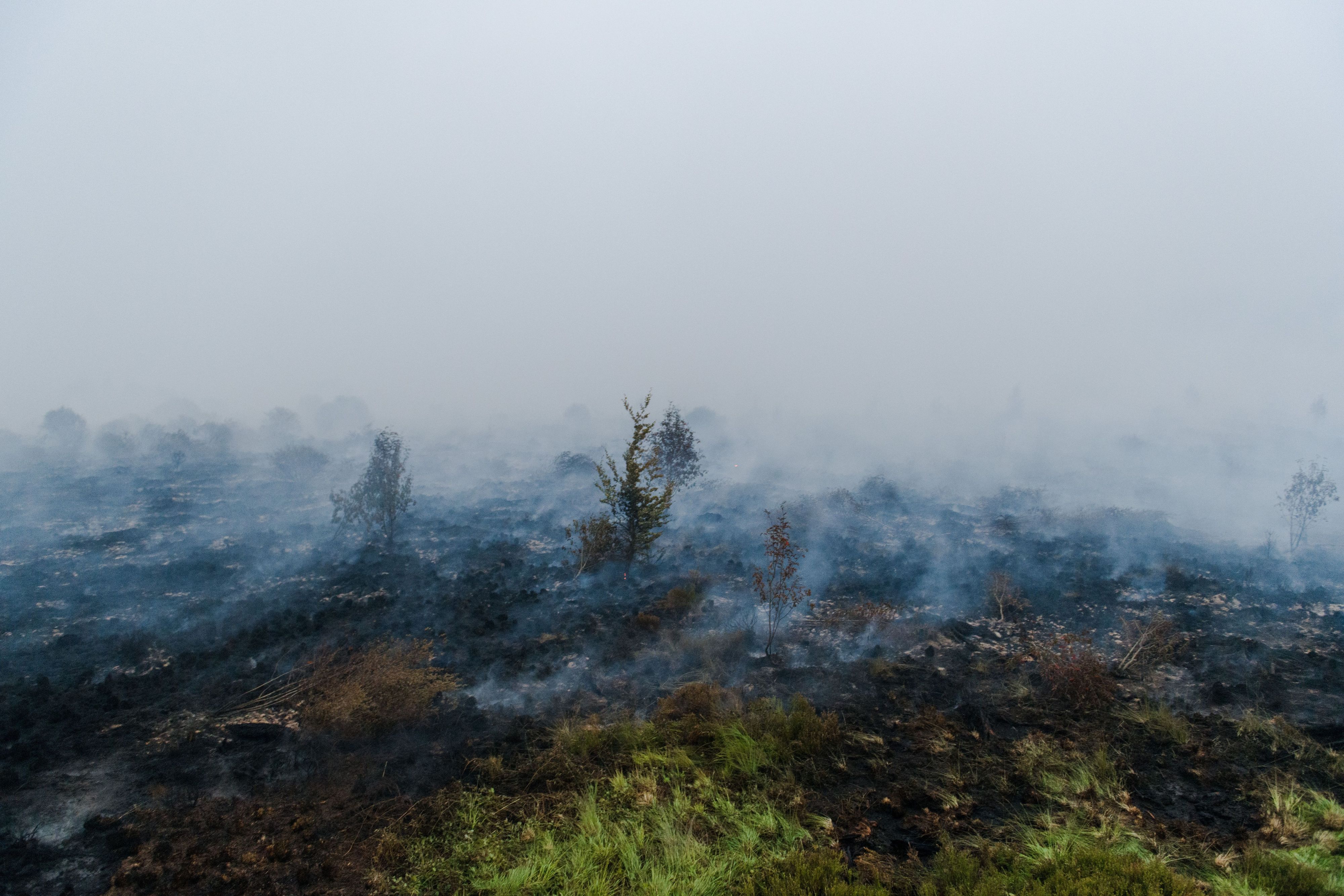 Die Bekämpfung des Waldbrandes ist wegen des torfhaltigen Bodens in dem Naturschutzgebiet besonders schwierig.
