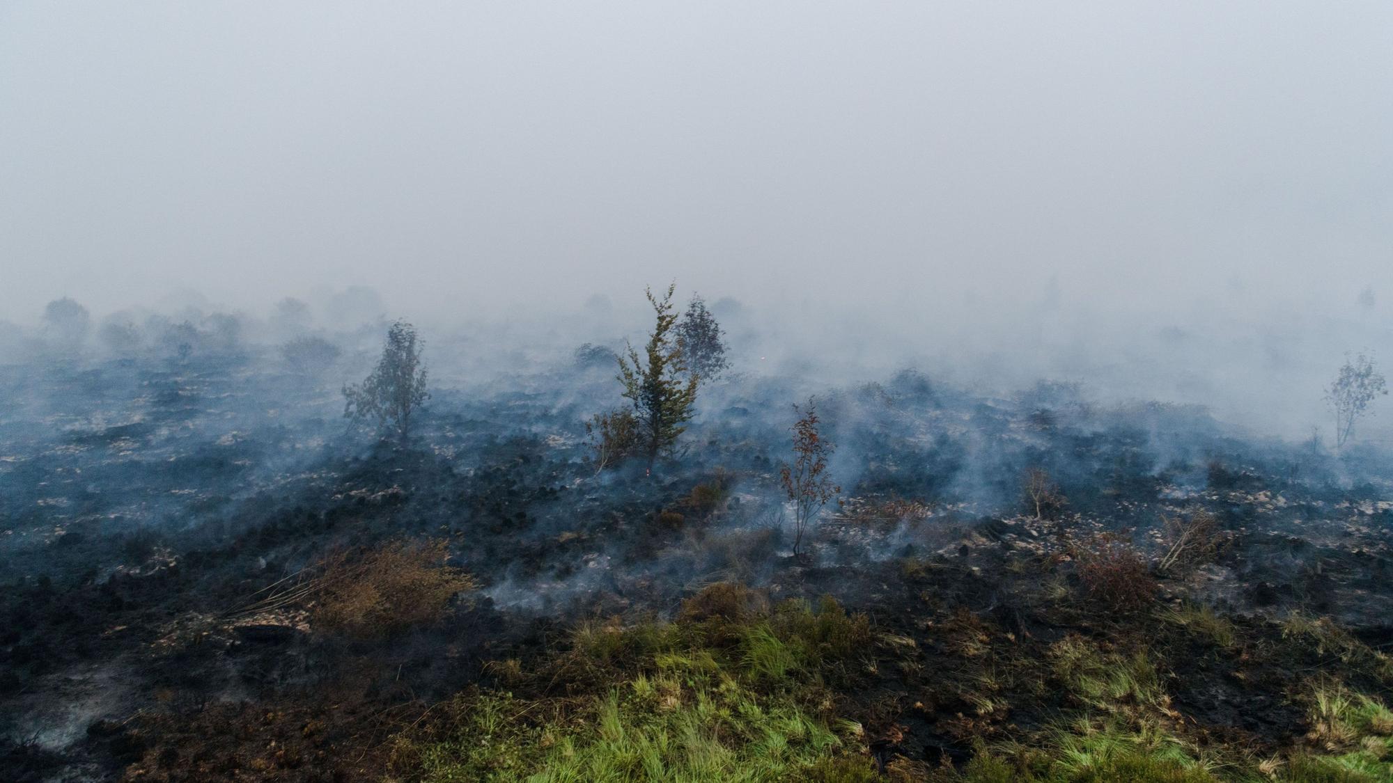 Die Bekämpfung des Waldbrandes ist wegen des torfhaltigen Bodens in dem Naturschutzgebiet besonders schwierig.