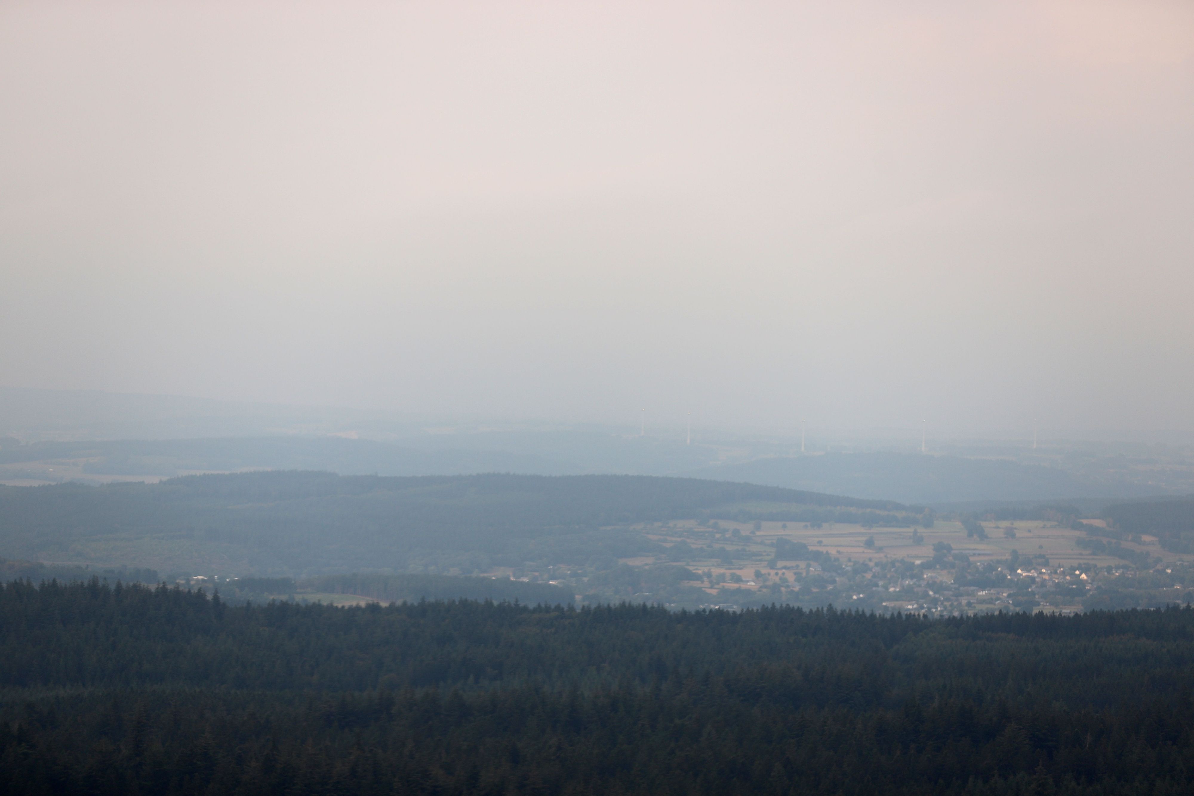 Rauchschwaden des Brandes im Hohen Venn sind von einem Flugzeug aus zu sehen.