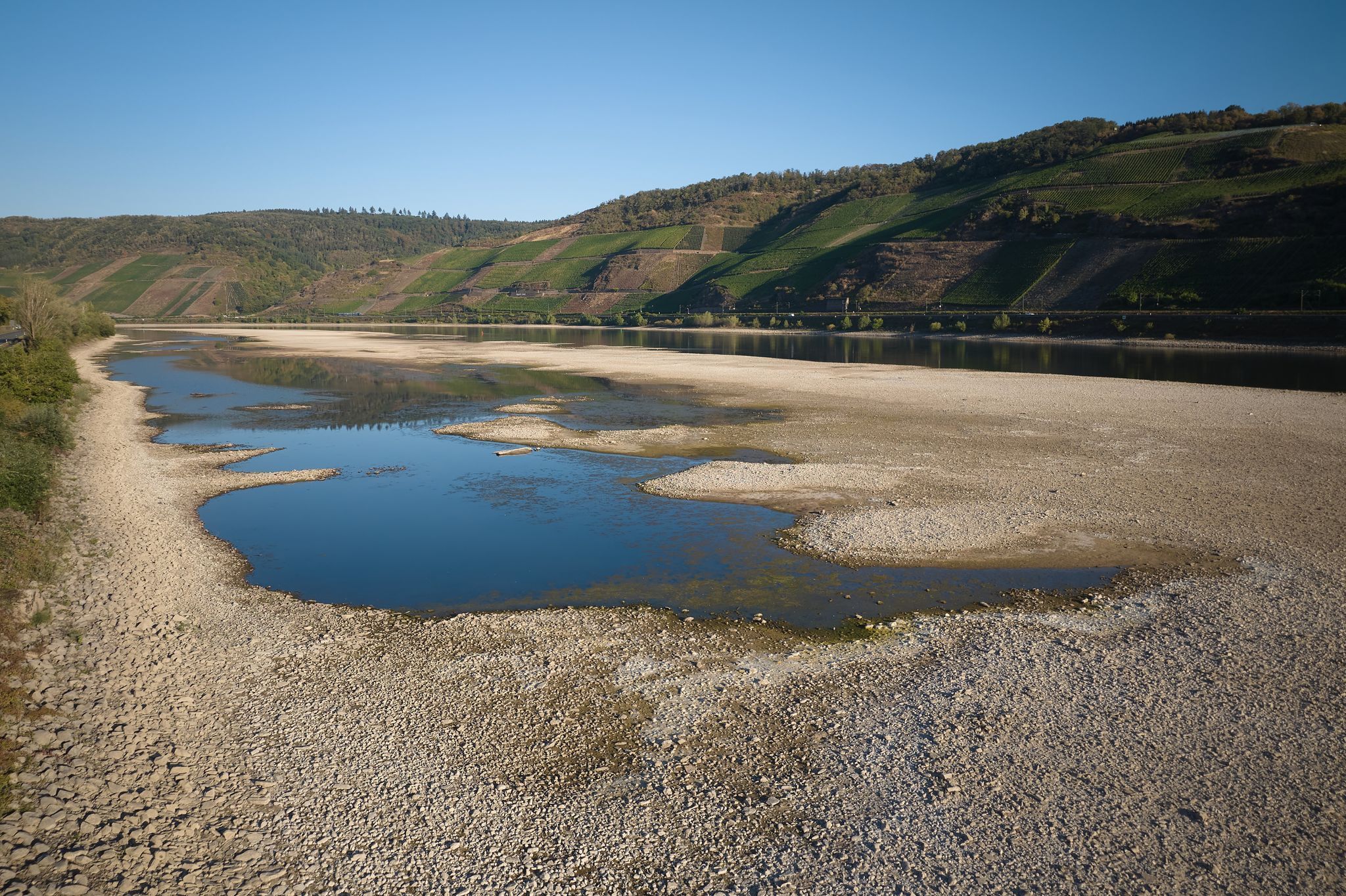 Niedrigwasser am Rhein