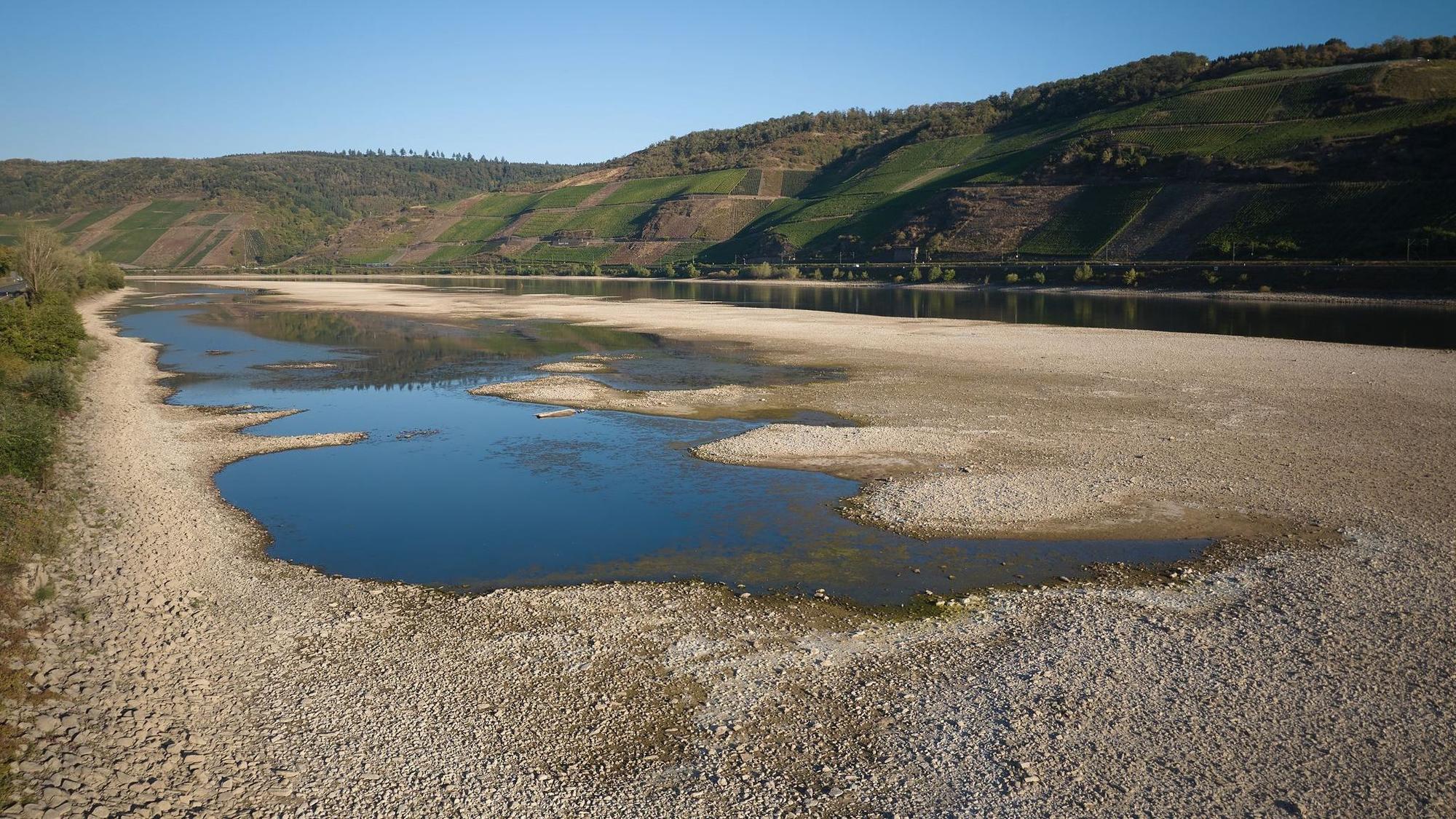 Niedrigwasser am Rhein