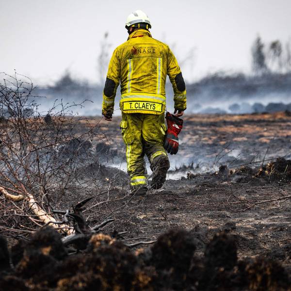 Ein Feuerwehrmann in dem zerstörten Naturgebiet im Hohen Venn.