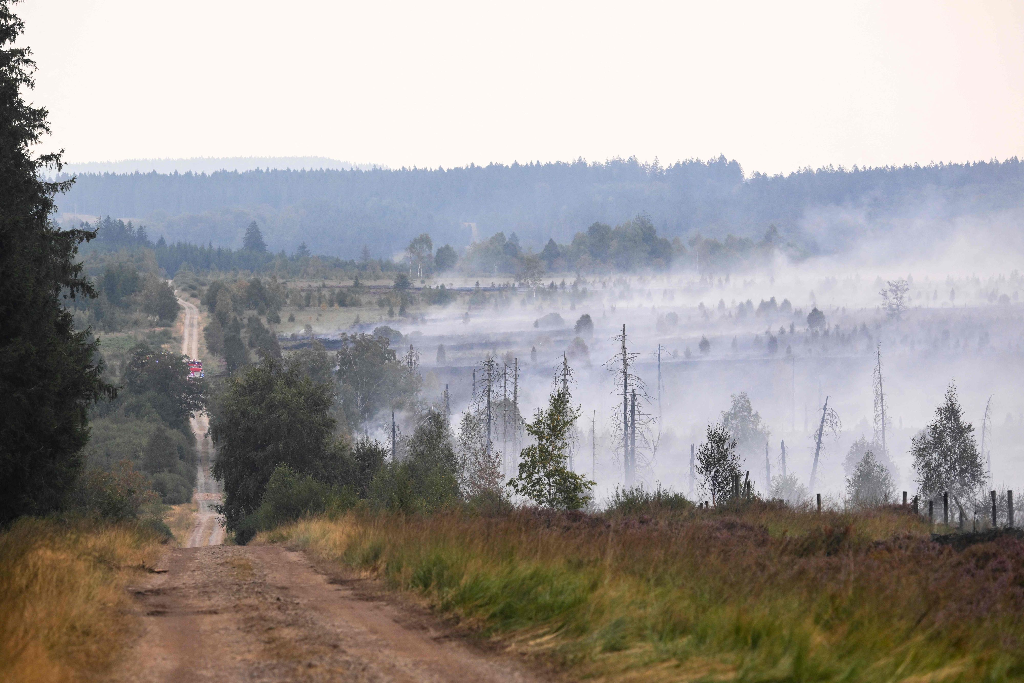 Die Ausbreitung des Feuers in dem Naturschutzgebiet, das seit Freitag rund 3.000 Hektar Land zerstört hat, wurde nach Angaben des Sprechers weitgehend gestoppt.