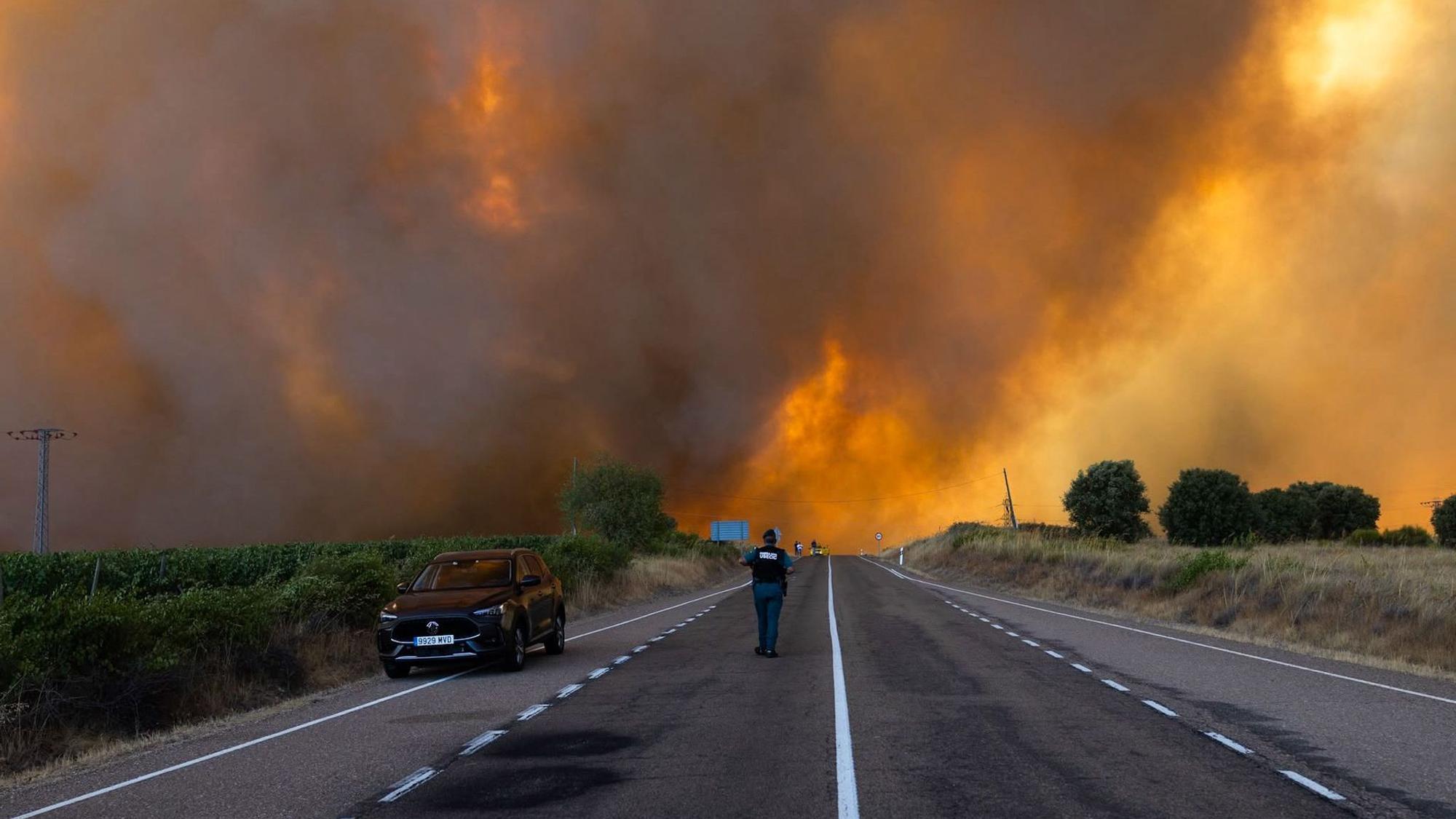 Klimawandel könnte Brandfläche in Europa bis 2100 verdreifachen