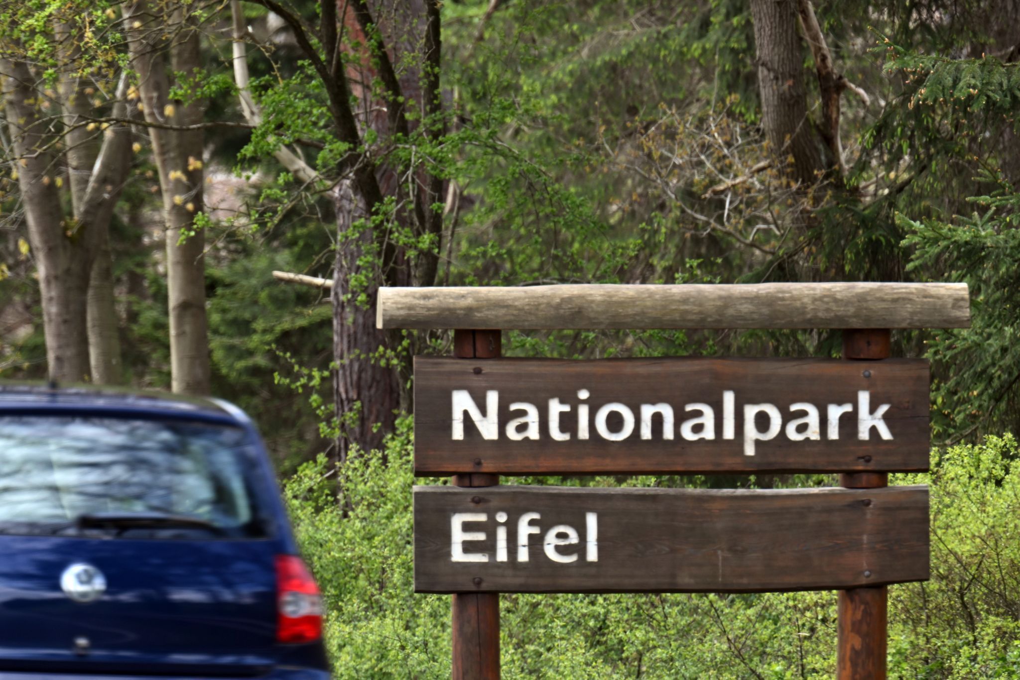 Nationalpark Eifel