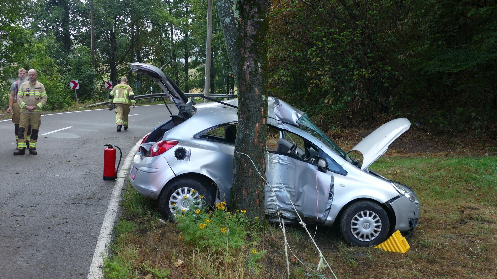 Der Wagen kam von der Straße ab und prallte gegen einen Baum.