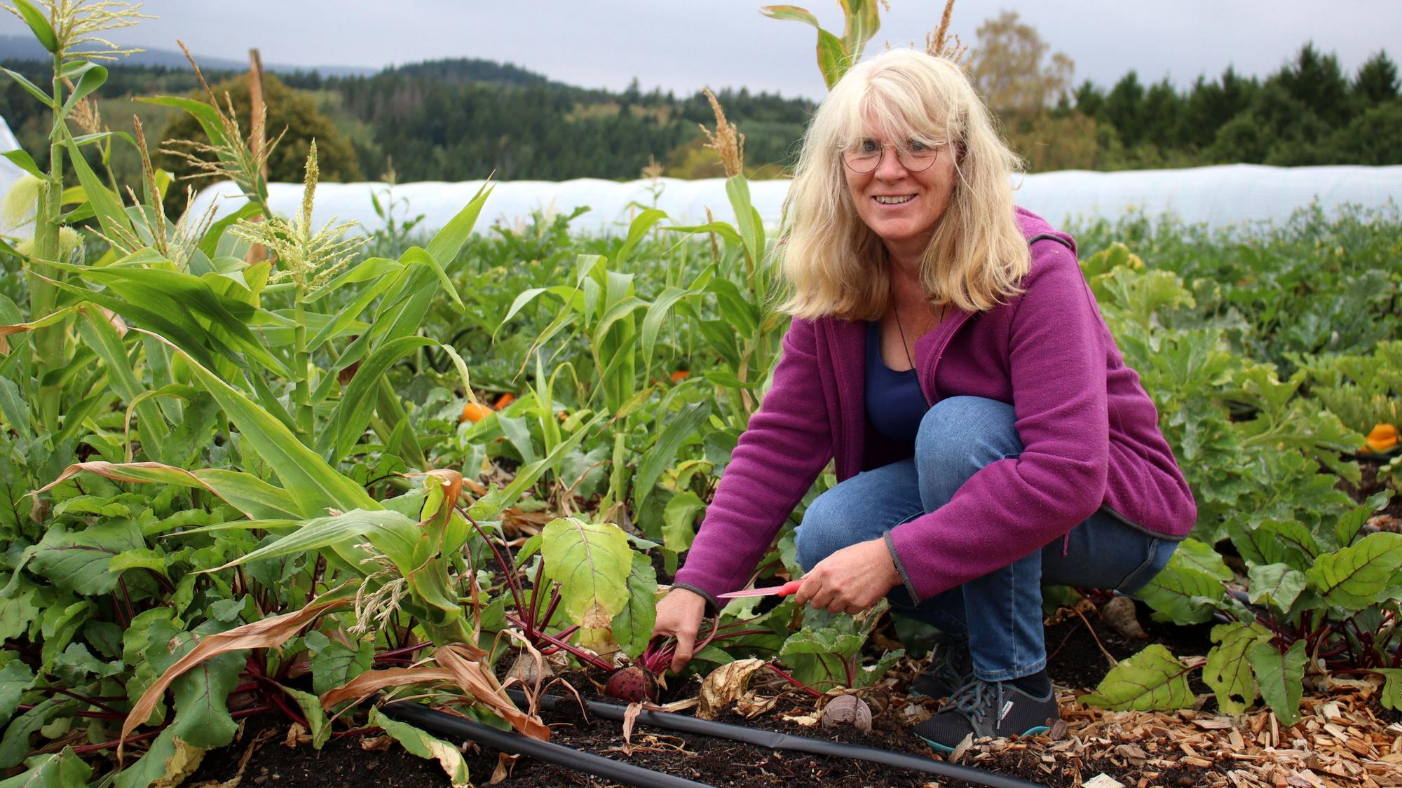 Barbara Düll Gregarek erntet, sie hält ein Messer in der Hand.