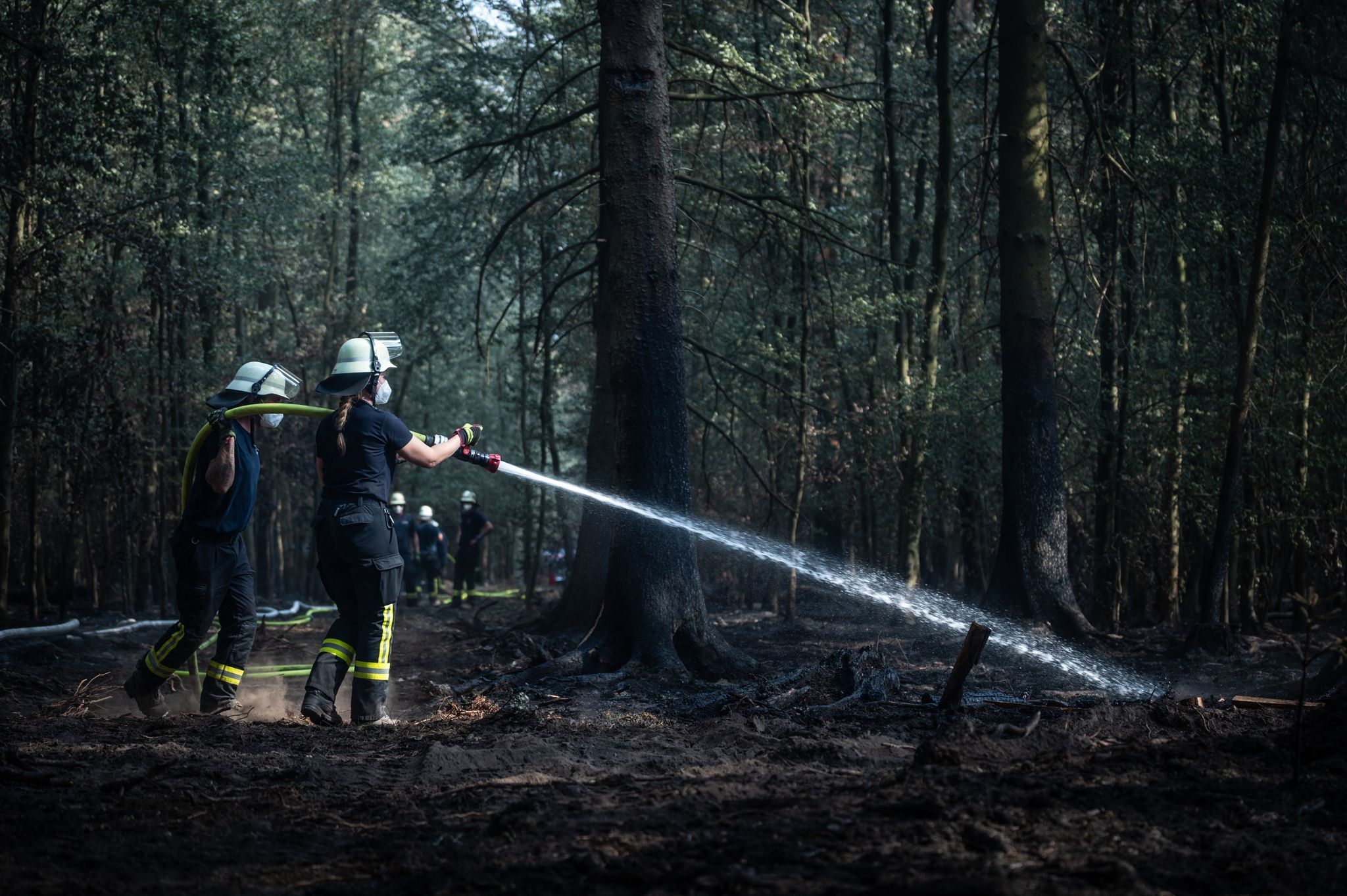 Waldbrand im Hürtgenwald