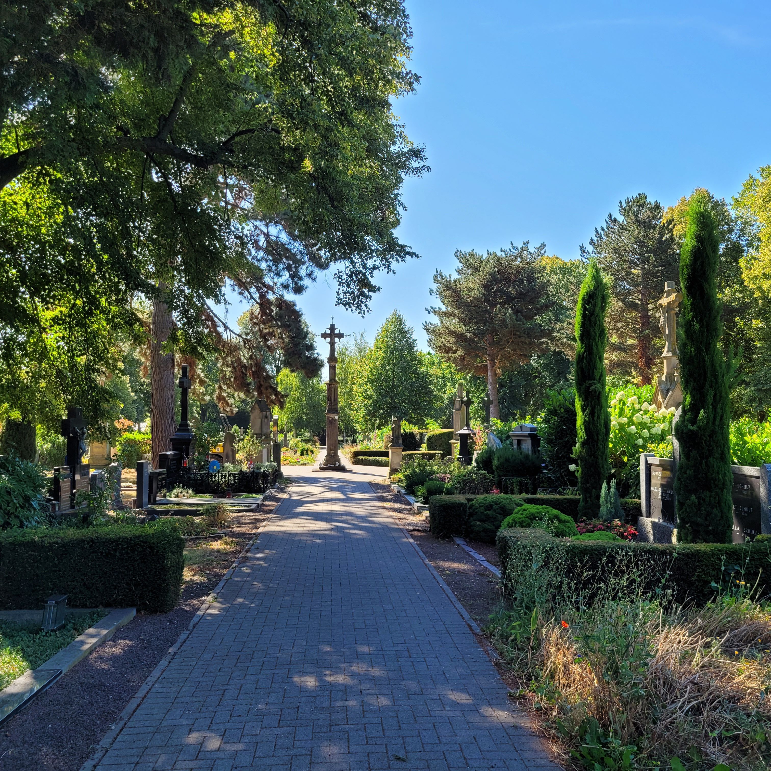 Blick auf die zentrale Allee des Brauweiler Friedhofs  mit vielen alten Gräbern.