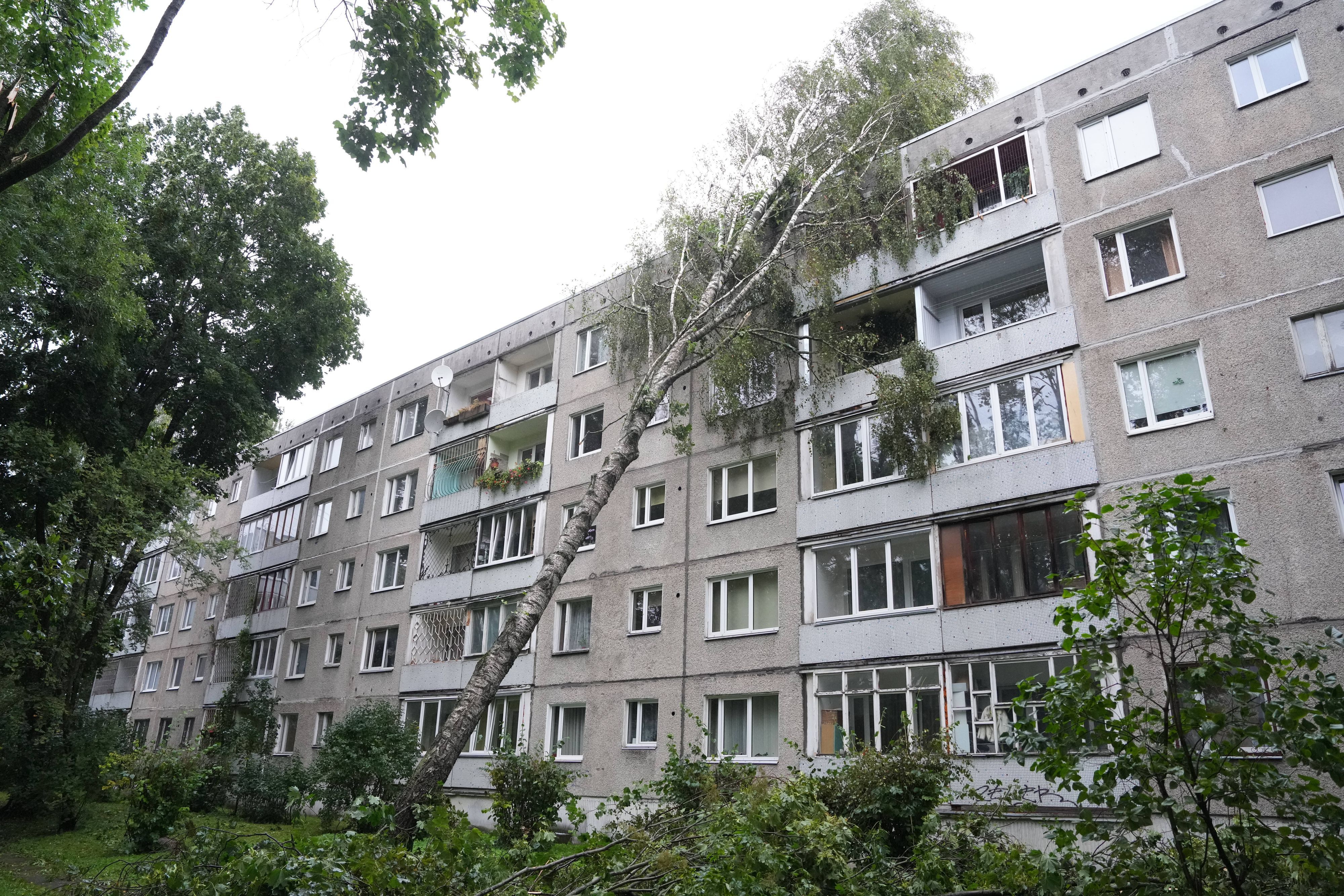 Ein heftiger Wirbelsturm fegte am Wochenende in Richtung über die drei baltischen Staaten hinweg und forderte zwei Todesopfer. In Riga waren die Schäden auch am Sonntag (23. August) noch vielerorts zu sehen.