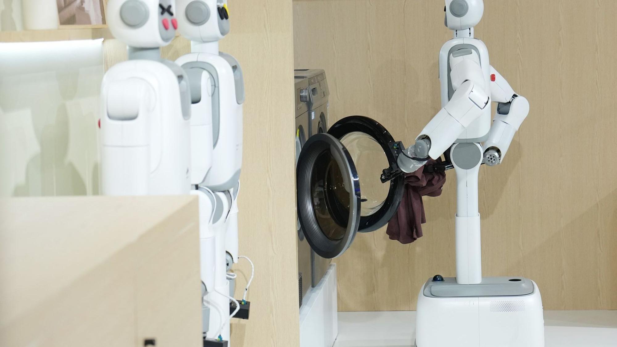 Haushaltsroboter