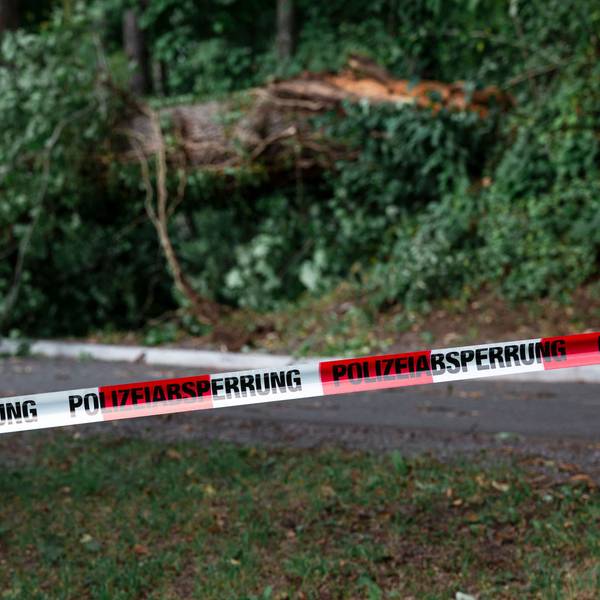 Der Sturm hatte in vielen Teilen Deutschlands schwere Schäden hinterlassen und etliche Bäume entwurzelt (Archivfoto).