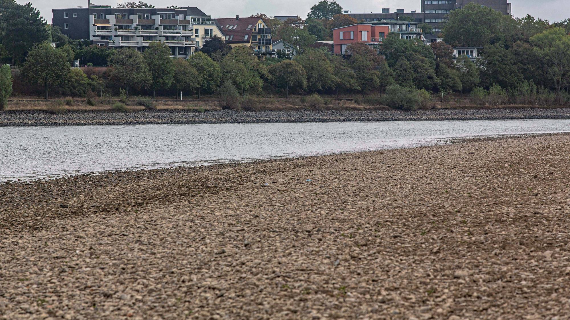 Blick auf das ausgetrocknete Flussbett des Rheins und Porz auf der rechten Rheinseite, gesehen vom Weißer Rheinbogen bei Köln-Sürth.