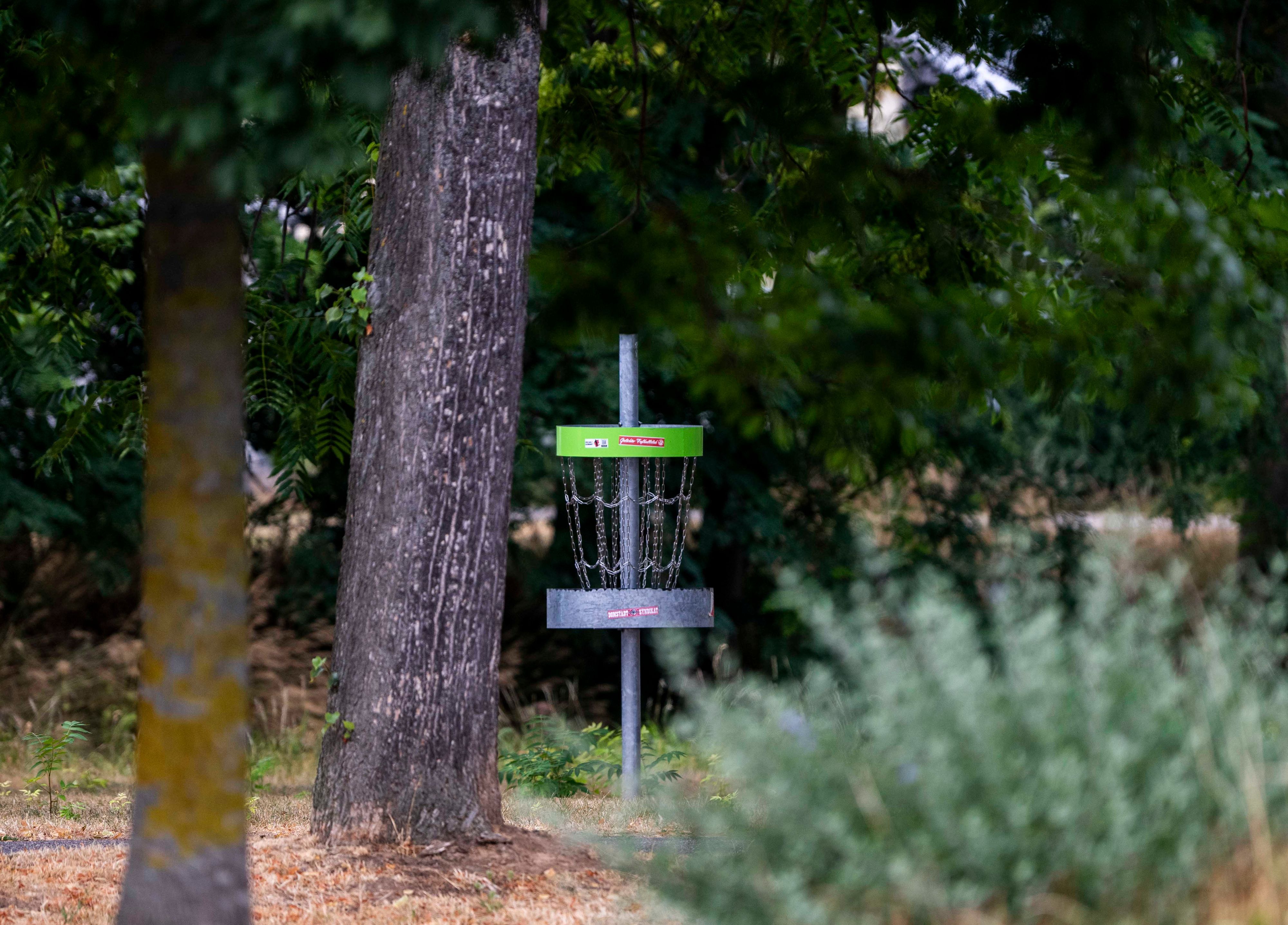 Ein Ziel für Disc-Golf steht neben einem Baum.