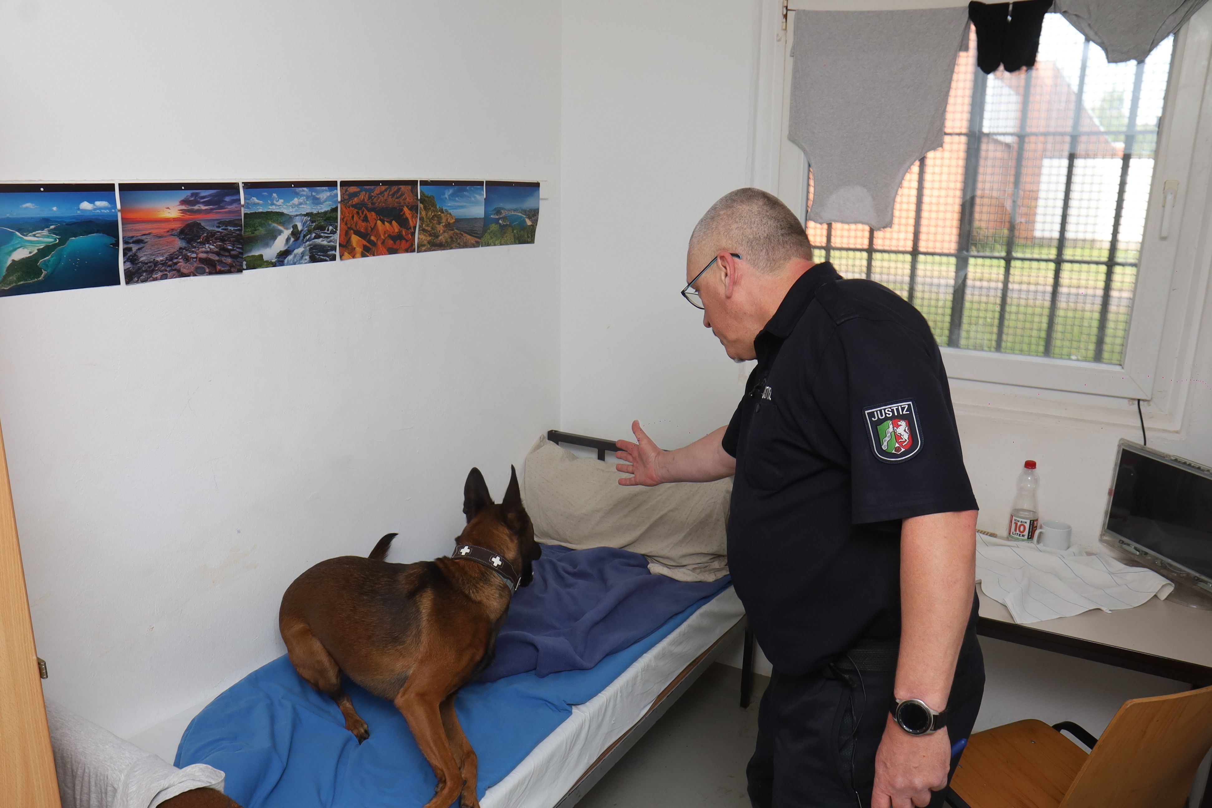 Bei unterschiedlichen Maßnahmen wurden in der Justizvollzugsanstalt Köln in den letzten Jahren Betäubungsmittel und Mobiltelefone bei den Inhaftierten sichergestellt.  Ein Diensthundeführer mit seinem Hund durchsucht ein Haftraum im Haus 11 der JVA.