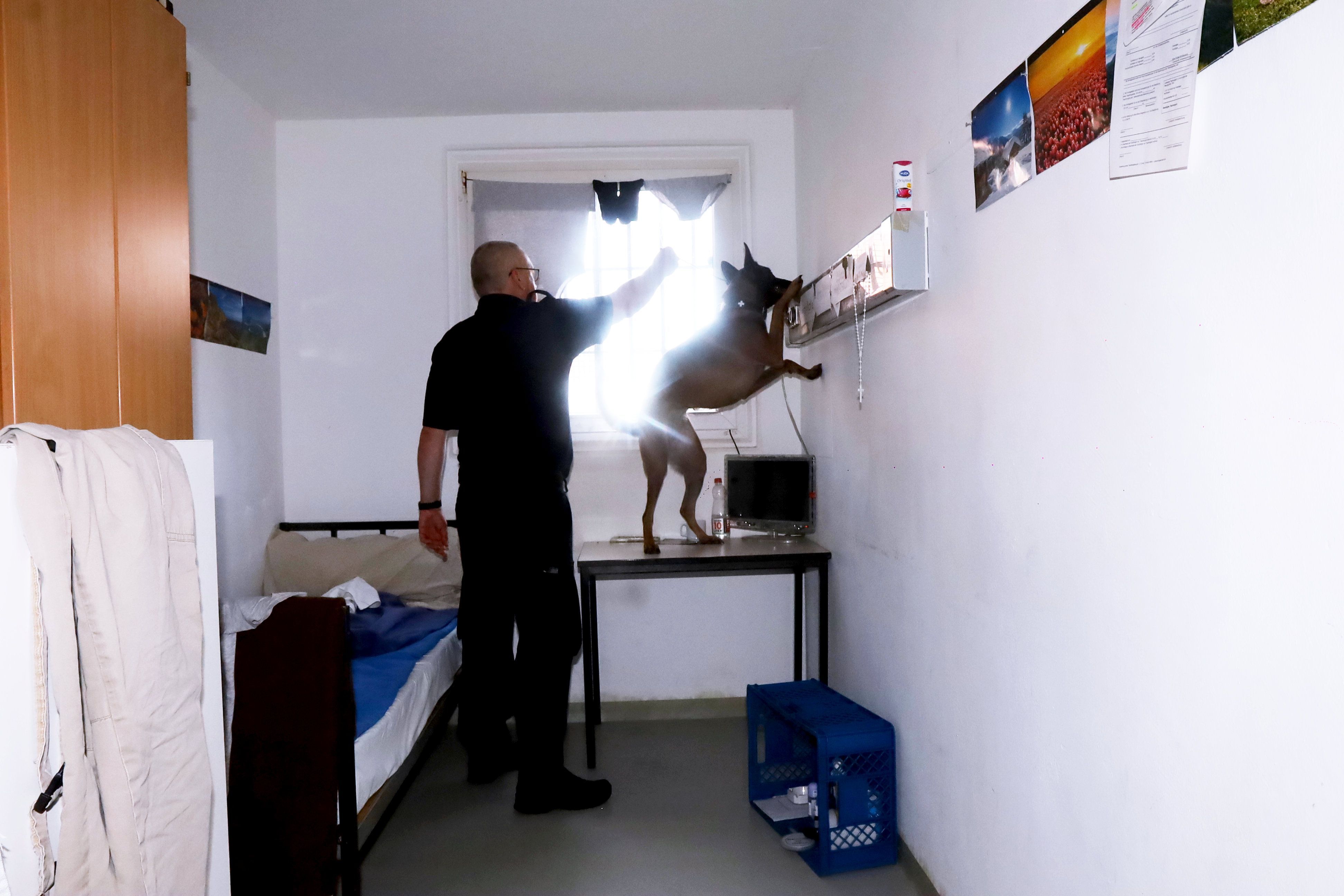 Bei unterschiedlichen Maßnahmen wurden in der Justizvollzugsanstalt Köln in den letzten Jahren Betäubungsmittel und Mobiltelefone bei den Inhaftierten sichergestellt. Ein Diensthundeführer mit seinem Hund durchsucht einen Haftraum im Haus 11 der JVA.