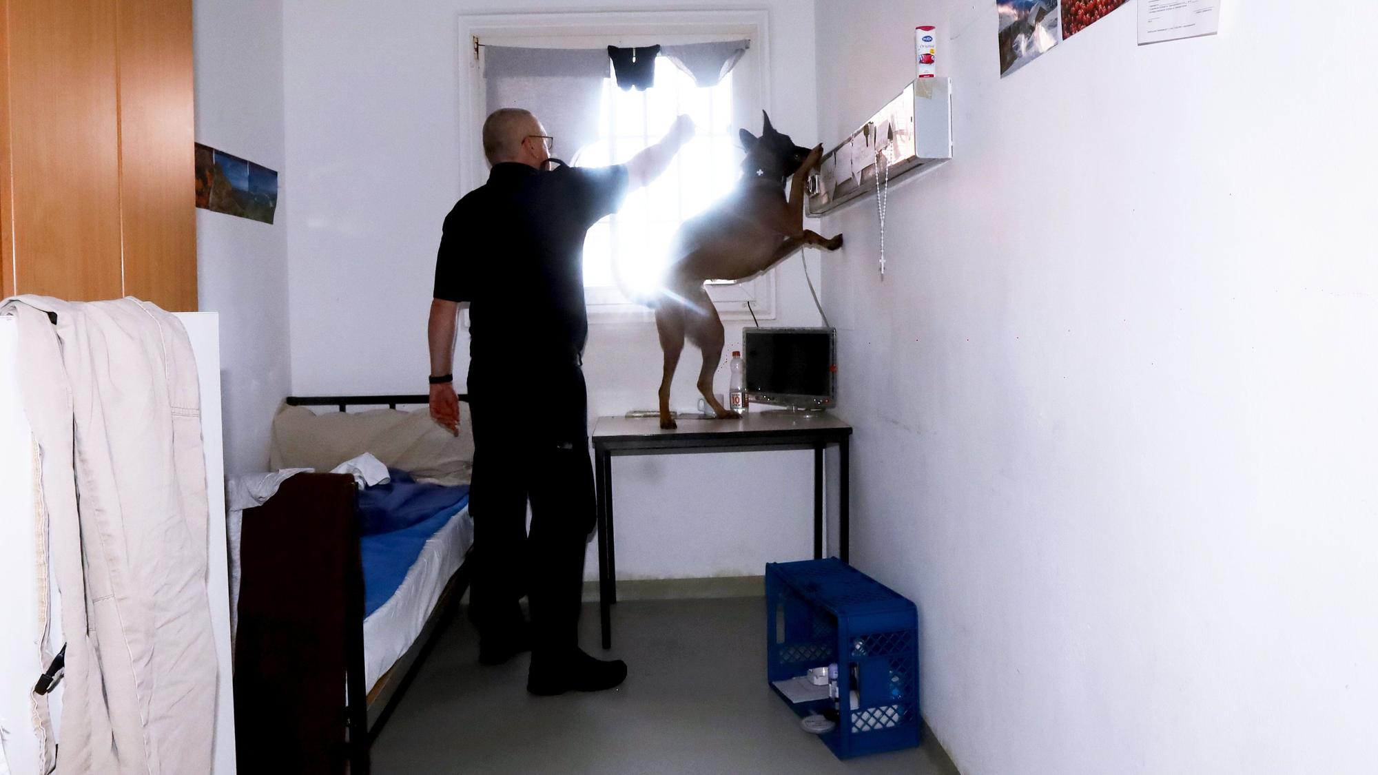Bei unterschiedlichen Maßnahmen wurden in der Justizvollzugsanstalt Köln in den letzten Jahren Betäubungsmittel und Mobiltelefone bei den Inhaftierten sichergestellt. Ein Diensthundeführer mit seinem Hund durchsucht einen Haftraum im Haus 11 der JVA.