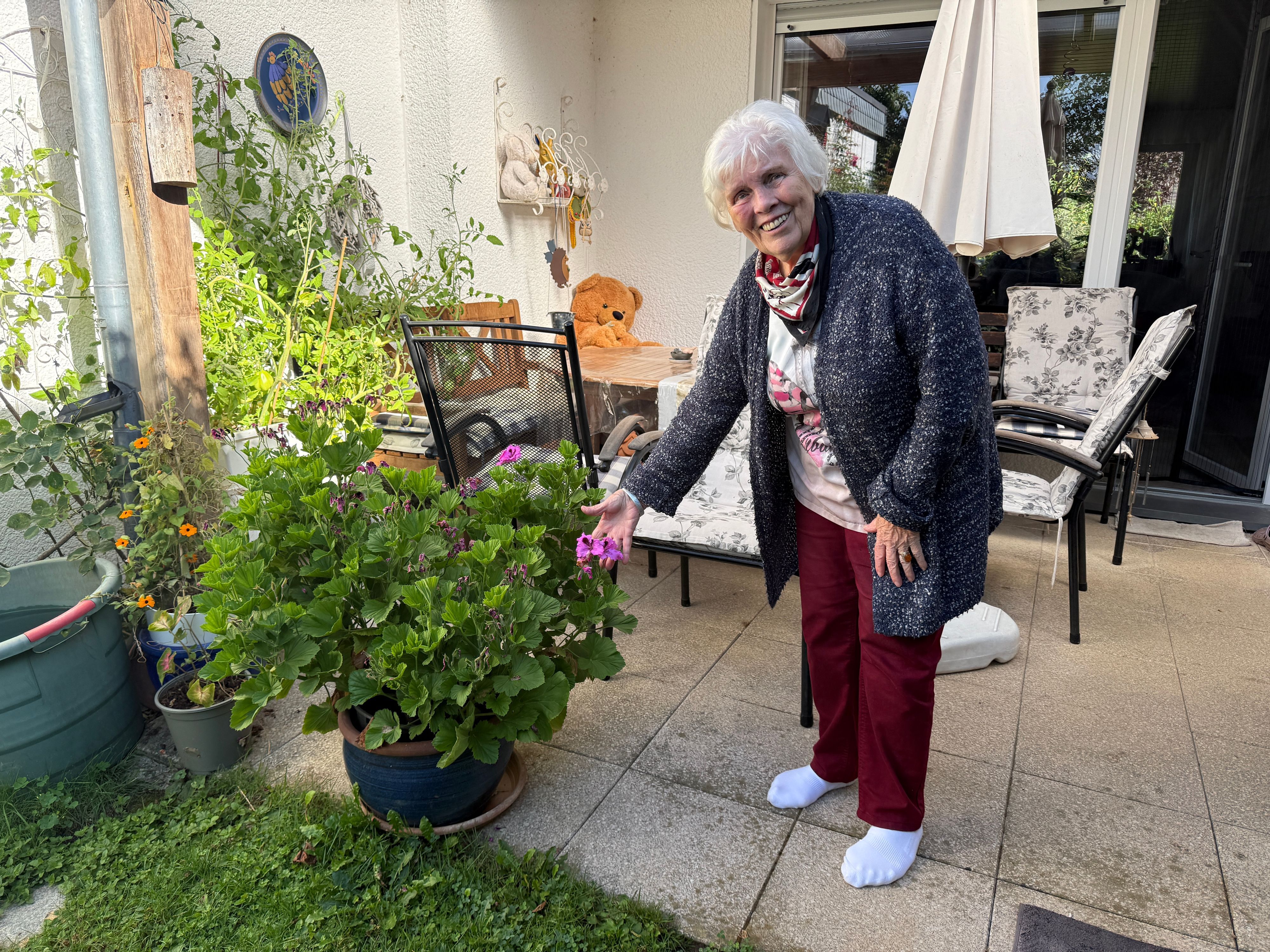 Rita Sackmann hat vor 54 Jahren aus dem Urlaub den Ableger einer Geranienpflanze mitgebracht