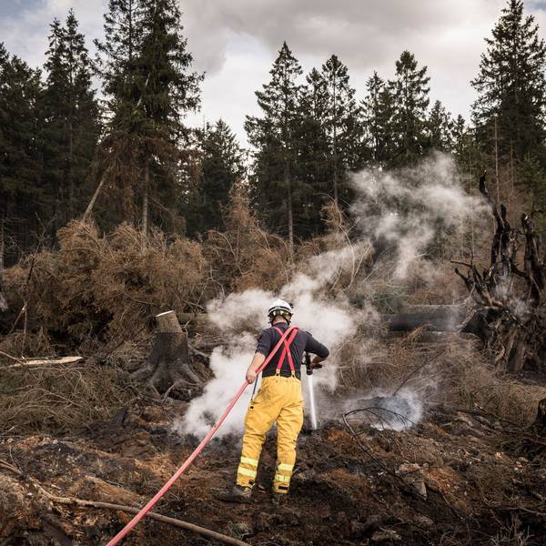 Waldbrand im Hohen Venn