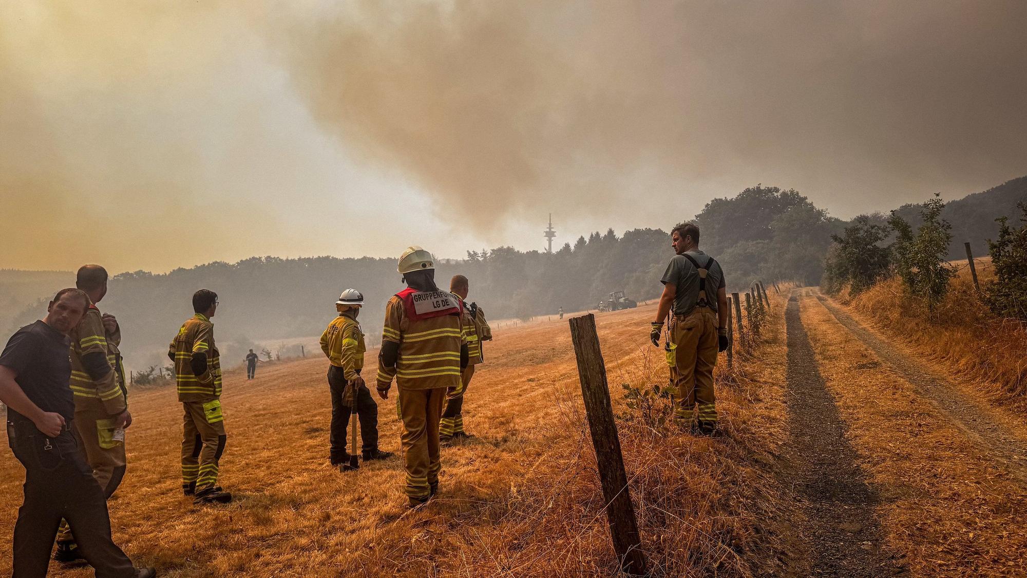 Verschiedene Einsatzkräfte stehen am 14. August 2026 auf einem Feld Nahe Hürtgenwald und blicken in Richtung eines Waldbrands, der Himmel ist rot gefärbt und durch Rauch verdunkelt.