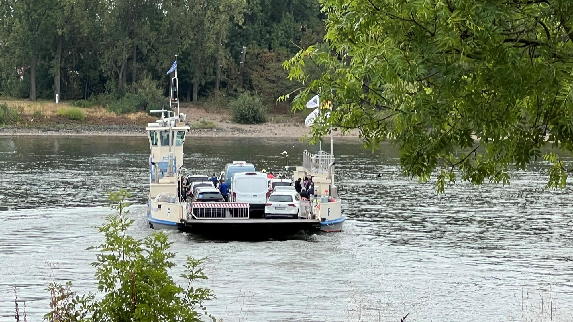 Das Niedrigwasser im Rhein hat sich so weit beruhigt, dass alle gängigen Fähren wieder fahren können. In Mondorf gibt es nach wie vor auf beiden Seiten lange Wartezeiten, hier ist inzwischen nur noch eine Autofähre in Betrieb.
