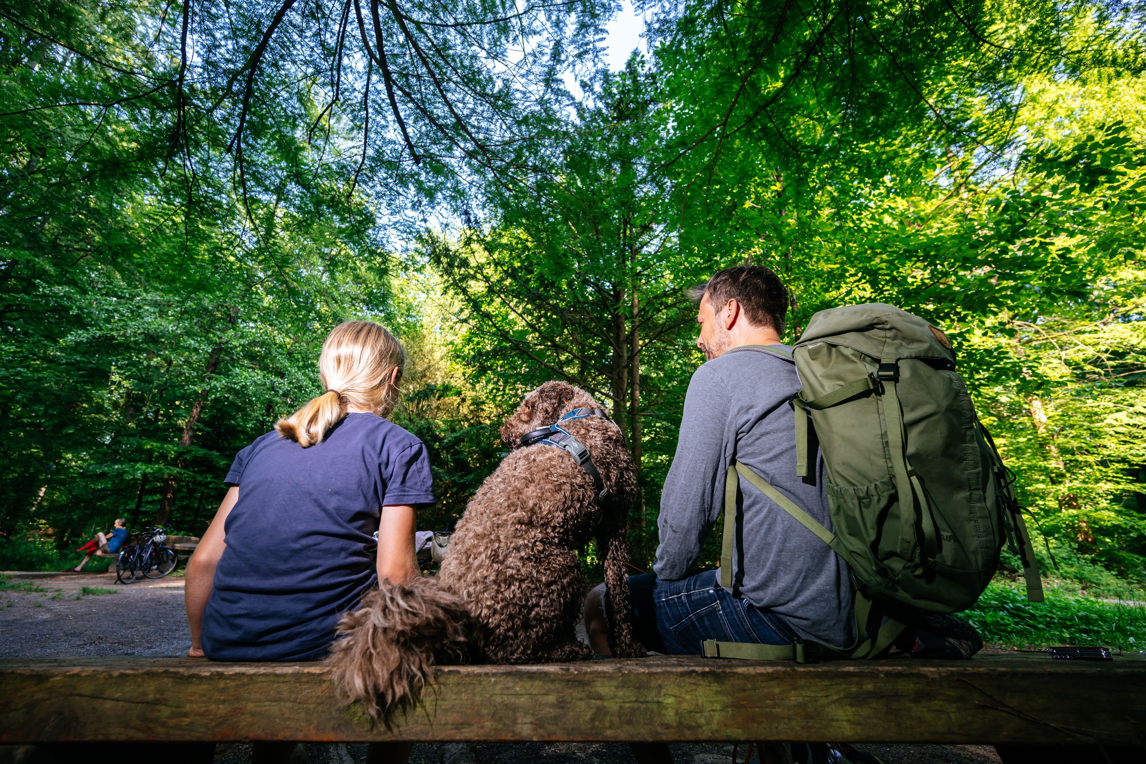 Leute mit einem Hund auf einer Bank im Wald.