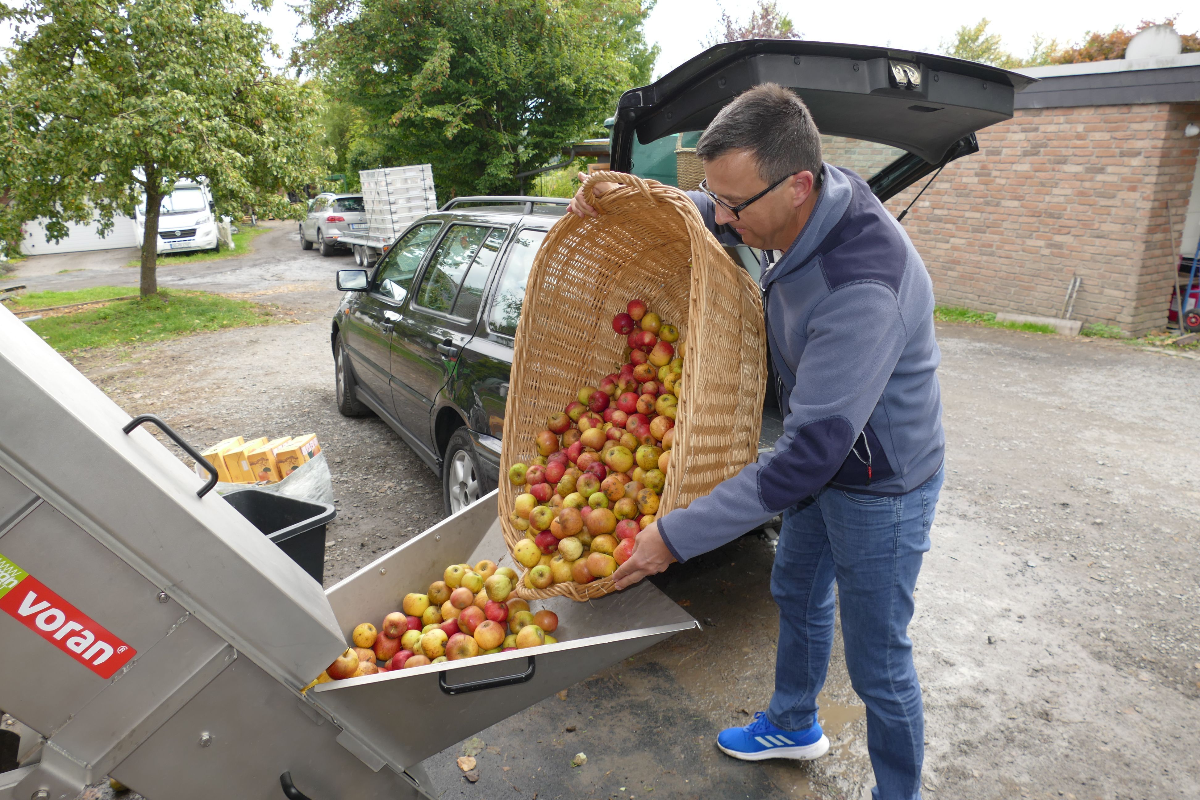 Der Spätsommer ist die Zeit, in der die Äpfel reif werden.