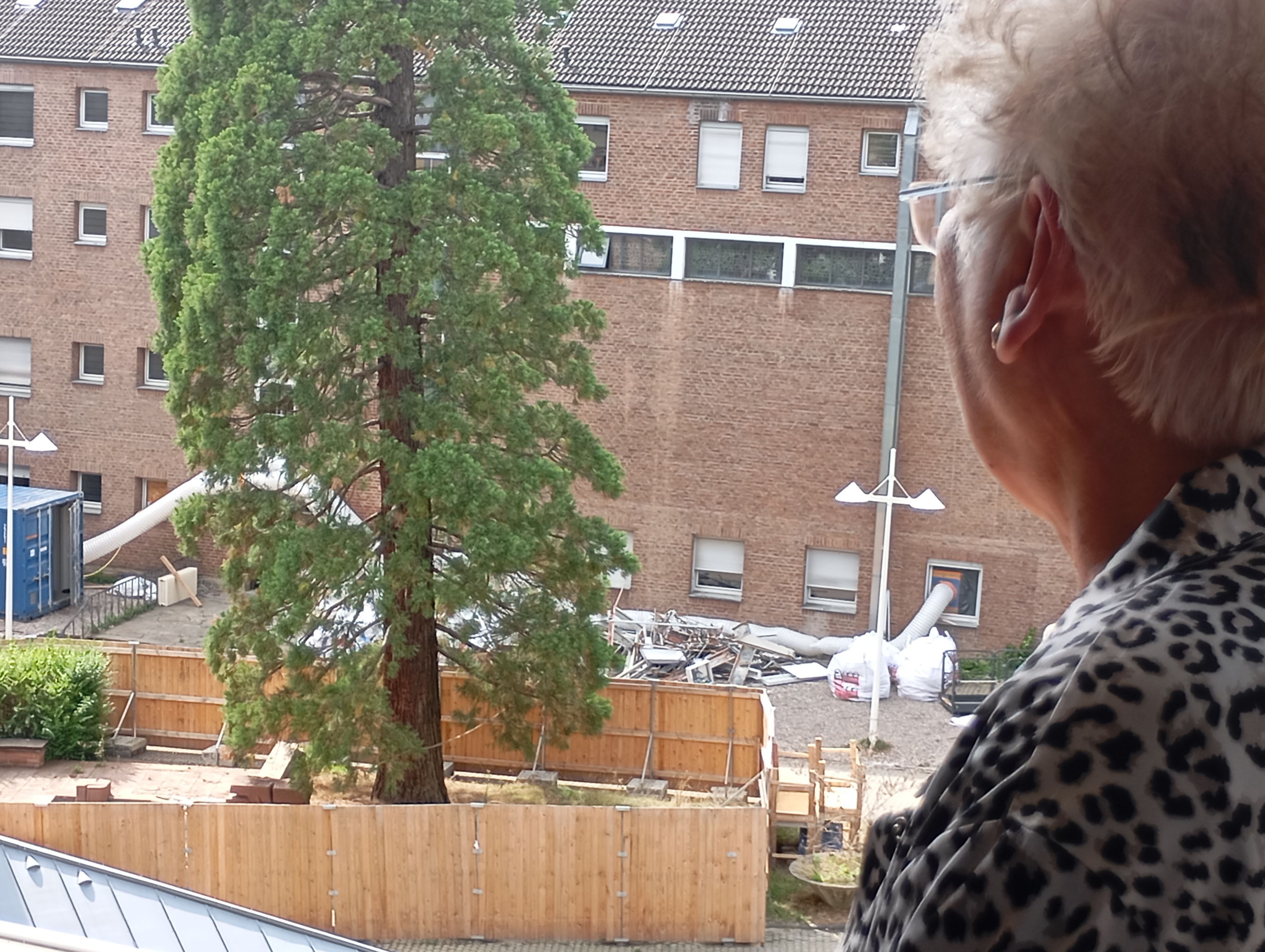 Zu sehen ist eine Frau, die aus einem Fenster in einen Innenhof schaut.