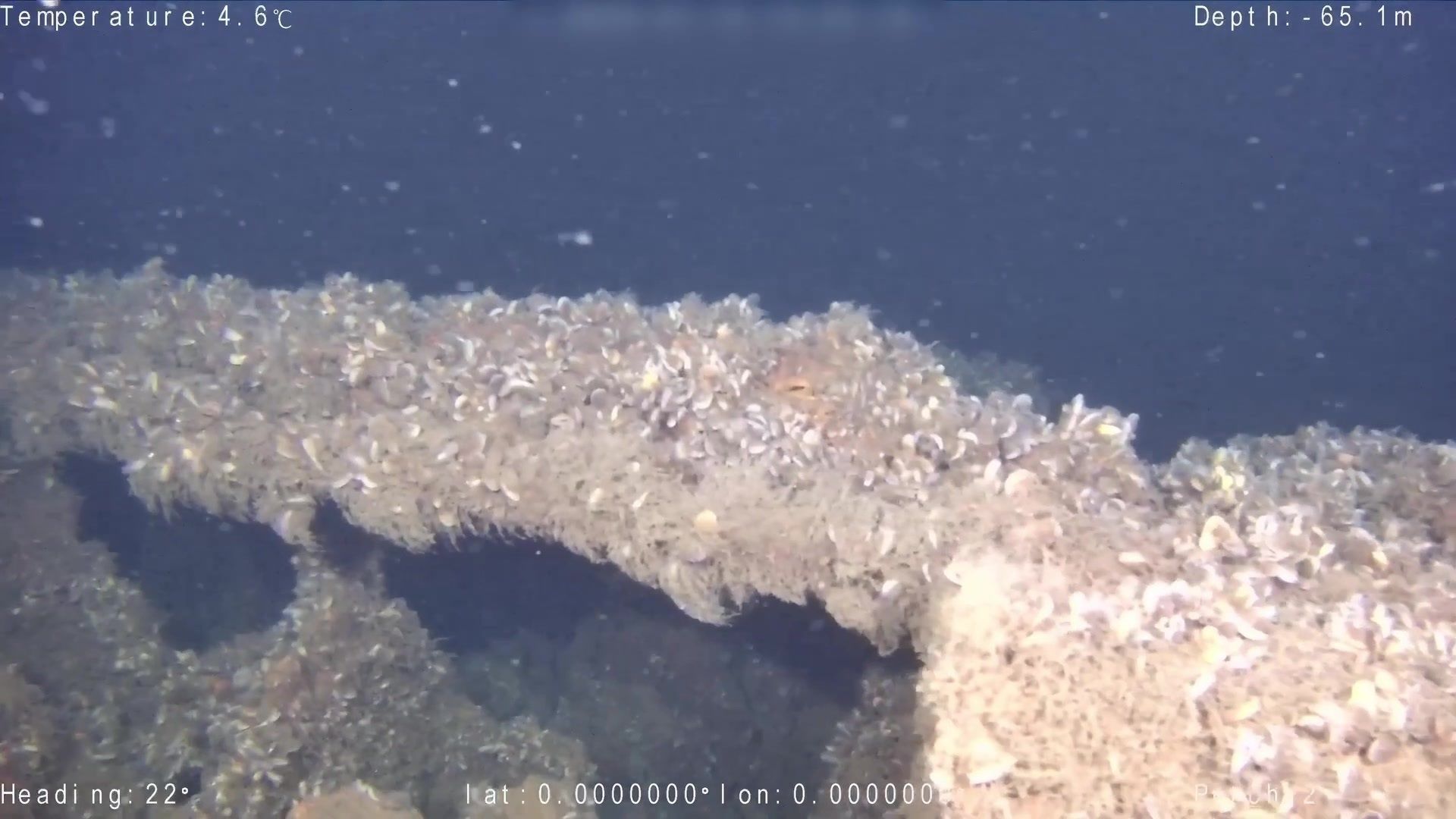 Die von der Kriegsgräberfürsorge zur Verfügung gestellte Unterwasseraufnahme zeigt Teile des gesunkenen U-Boots U-583 östlich der Insel Bornholm in der Wirtschaftszone Polens.