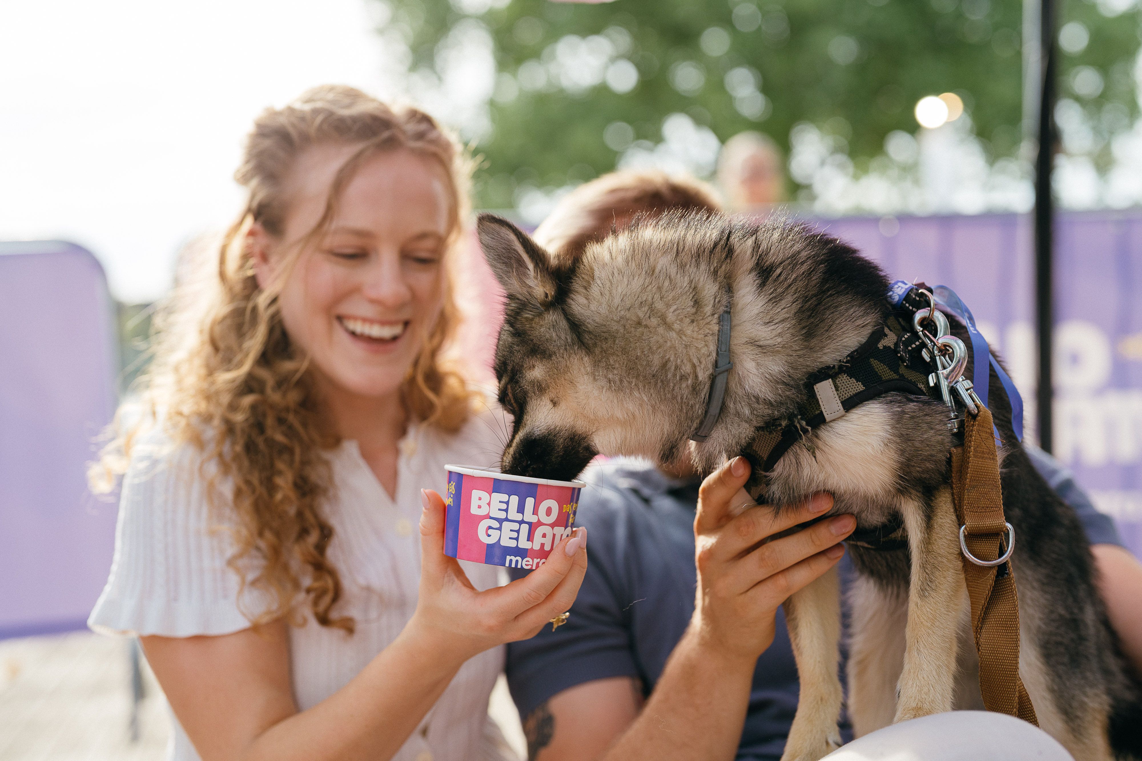 Ein Hund schleckt Eis aus einem Becher beim Launch-Event von „Bello Gelato“.