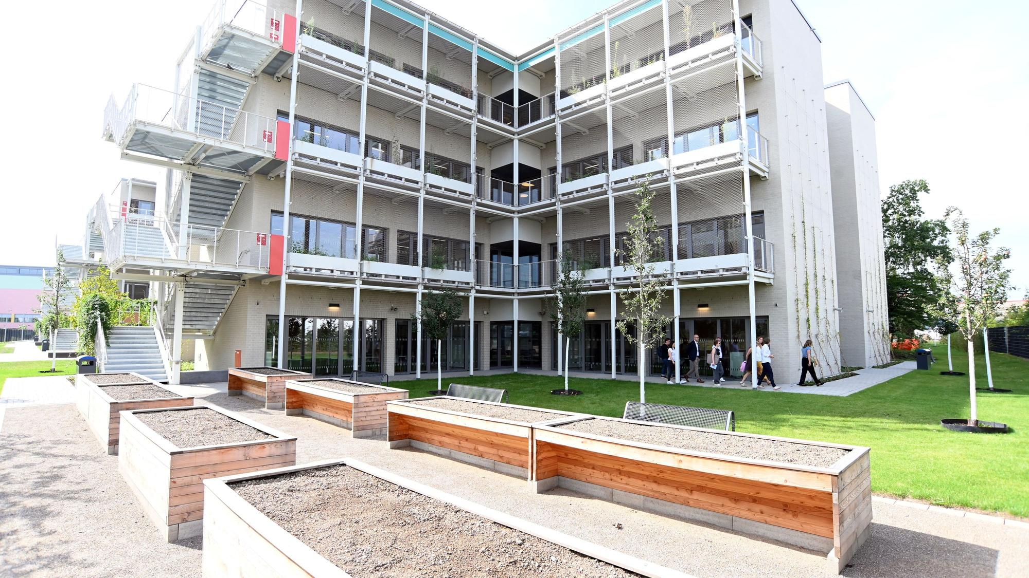 Der jüngst fertiggestellte Holzhybridbau der Gesamtschule Ossendorf ist ein gelungenes Beispiel für den Schulbau in Köln. Er kostete 150 Millionen Euro.