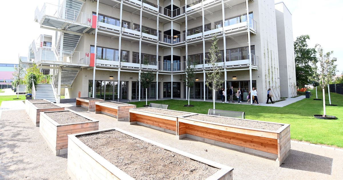 “Absolutely essential”: Cologne pulls the emergency brake on school ...