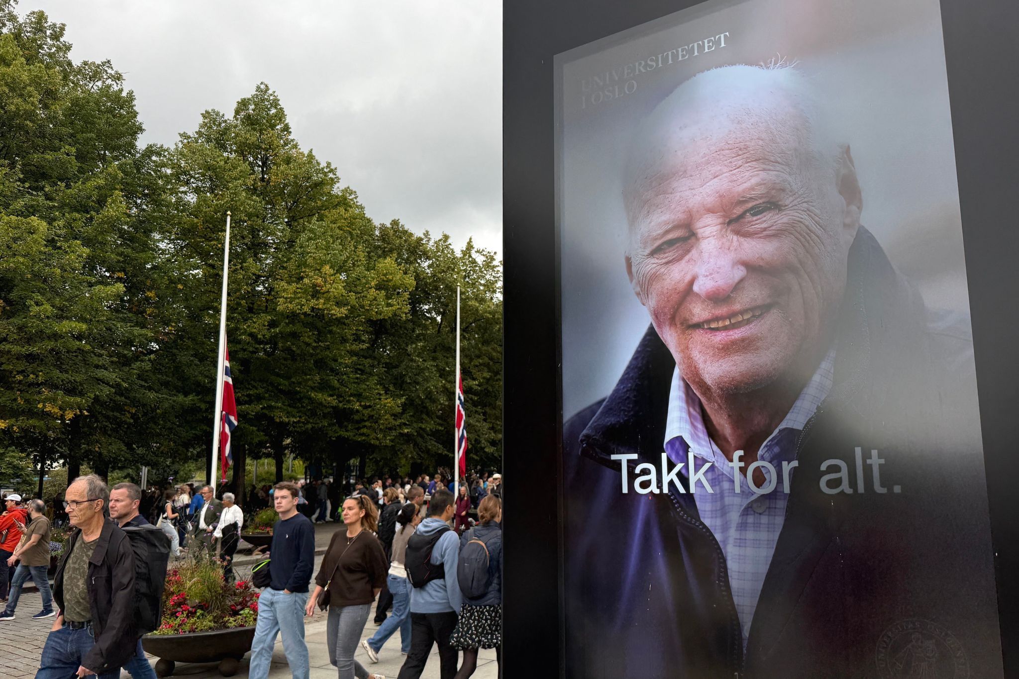 Plakat mit Harald drauf.
