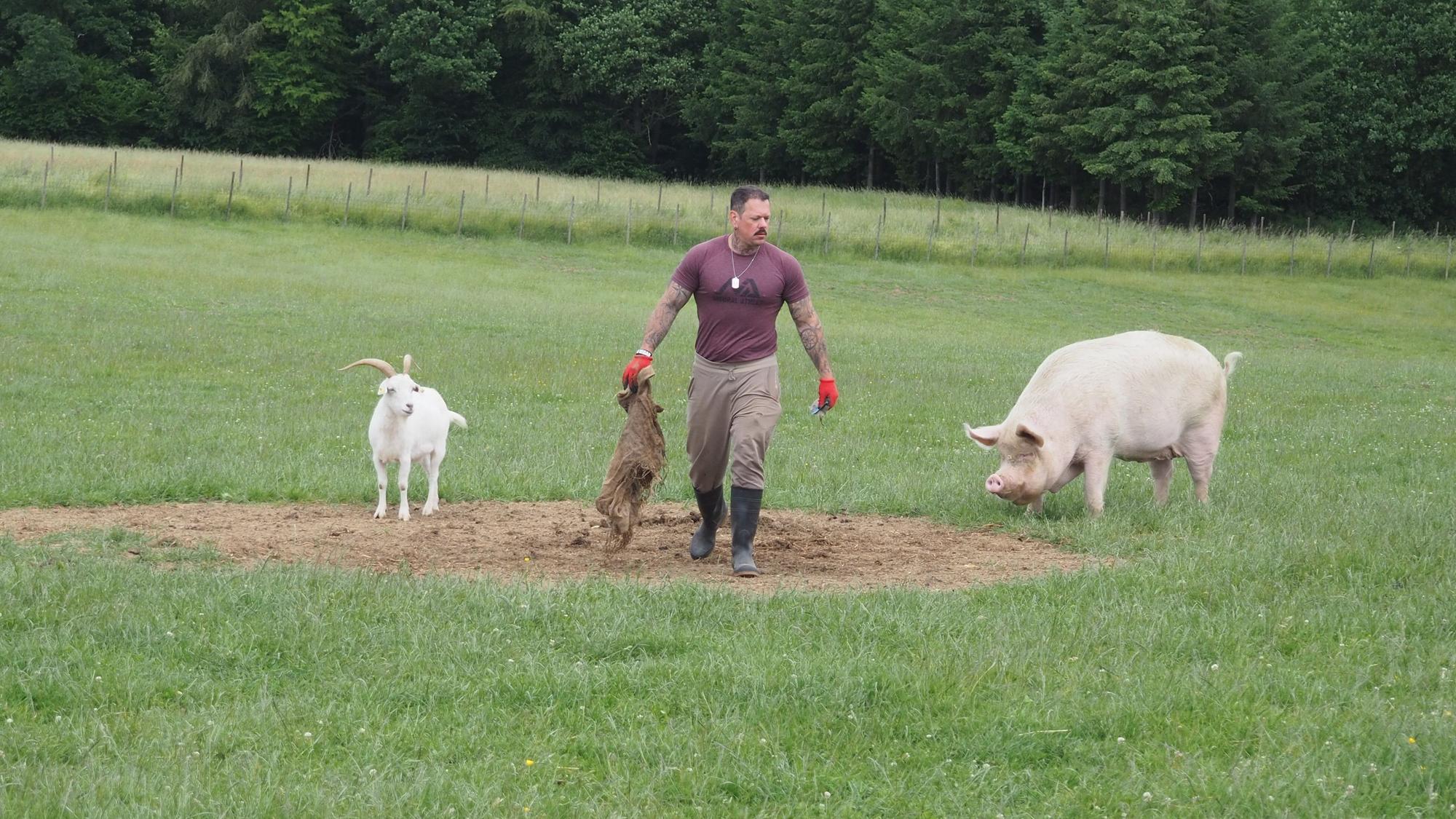 Ein Mann trägt einen leeren Kartoffelsack weg, eine Ziege und ein Schwein schauen ihm dabei zu.