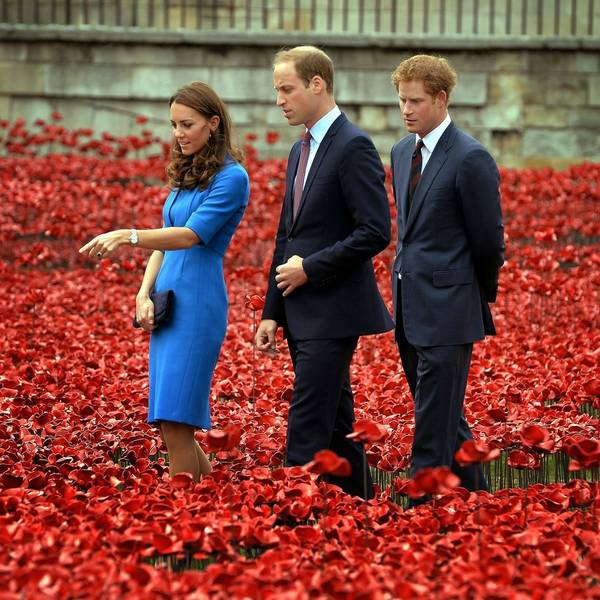 Kate, Prinz William und Prinz Harry stehen in roten Poppys.