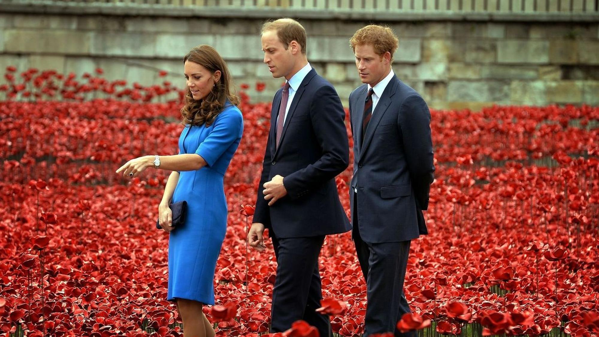 Kate, Prinz William und Prinz Harry stehen in roten Poppys.