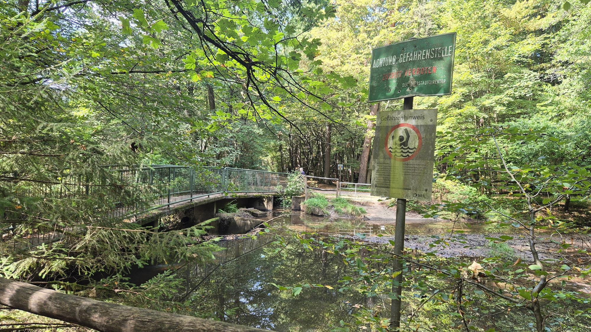 Anfang August war im Flehbach in Köln-Brück kein Wasser mehr, mittlerweile ist er wieder gefüllt.