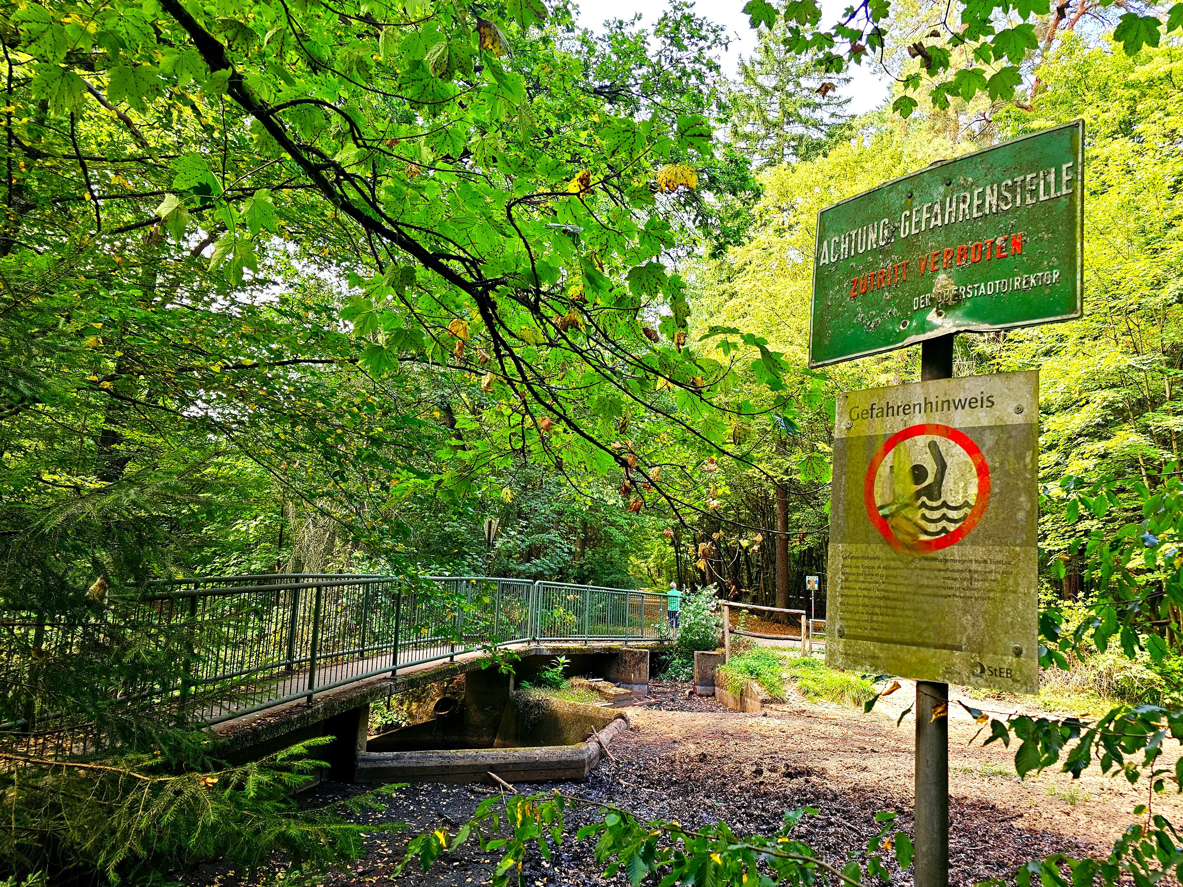 Der Flehbach in Köln-Brück trocknet immer wieder durch Hitze ein – wie hier Anfang August dieses Jahres.