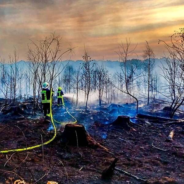 Das Bild zeigt zwei Feuerwehrleute, die einen Waldbrand zwischen Flamersheim und Rheinbach bekämpfen.