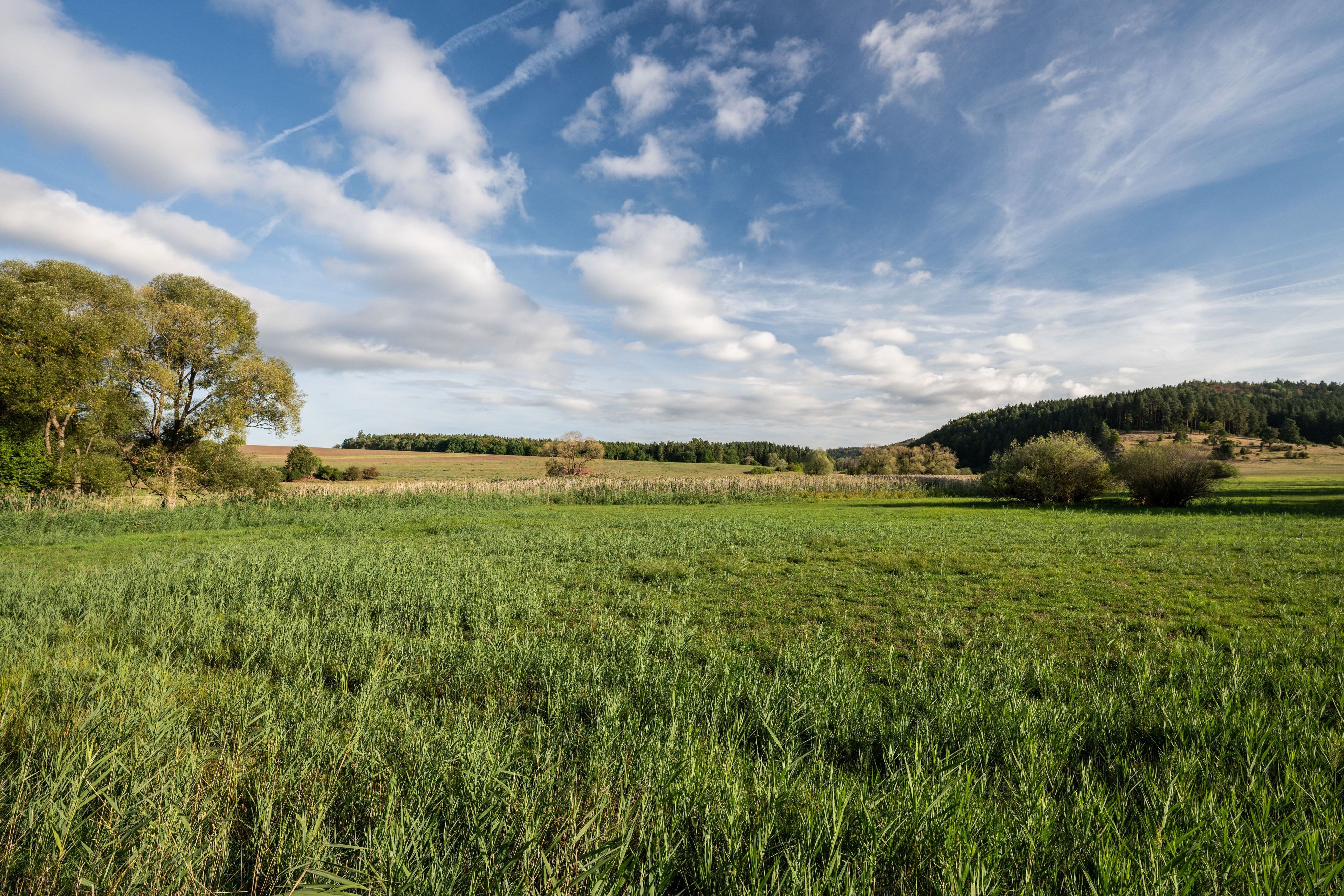 Die Sonne scheint am Morgen über einem Naturschutzgebiet in Baden-Württemberg. In Süddeutschland die Temperaturen noch mal auf bis zu 32 Grad.