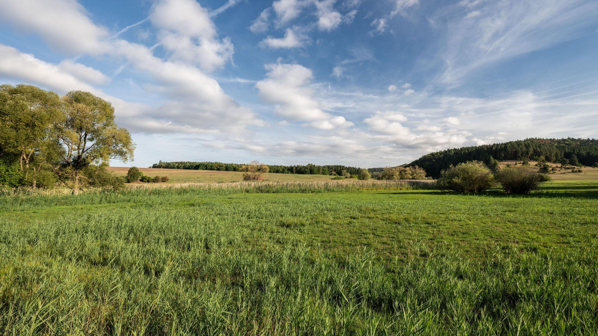 Die Sonne scheint am Morgen über einem Naturschutzgebiet in Baden-Württemberg. In Süddeutschland die Temperaturen noch mal auf bis zu 32 Grad.