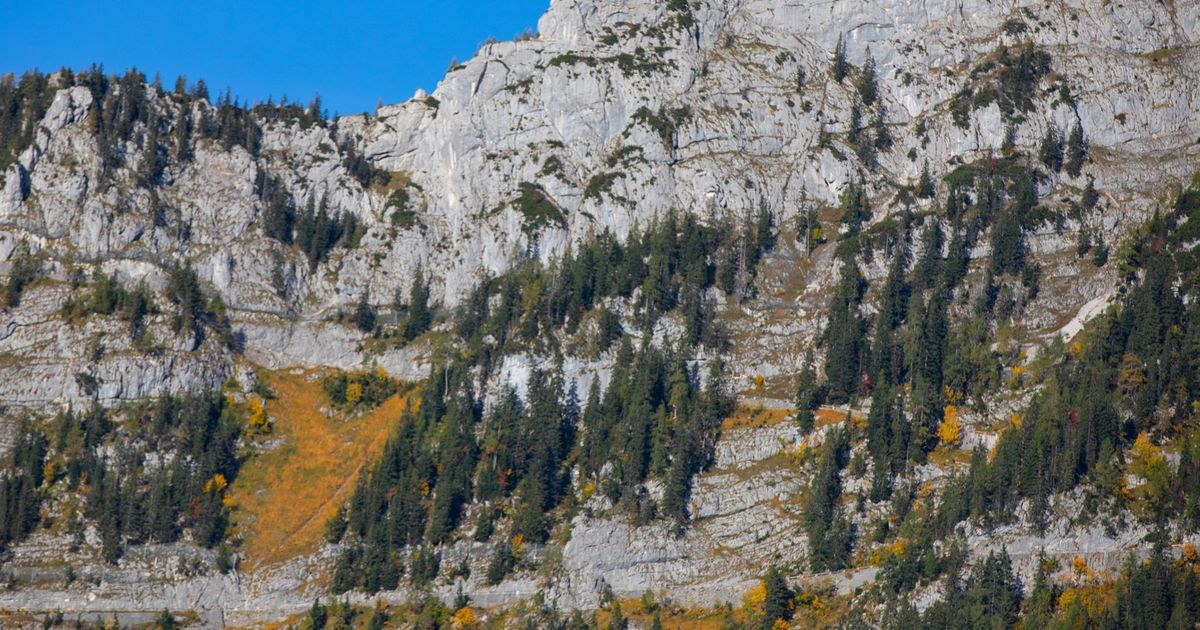 Mountain rescue finds body: Mountaineer from North Rhine-Westphalia dies ...
