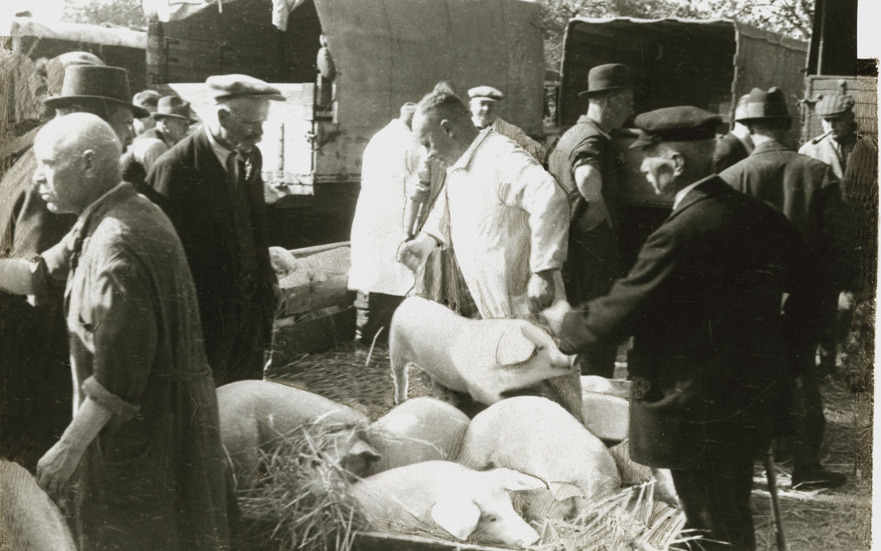 In den 1950er, vielleicht auch in den 1960er Jahren, ist dieses Foto vom Vieh- und Krammarkt in Waldbröl entstanden. Dort wurden damals auch Schweine gehandelt.