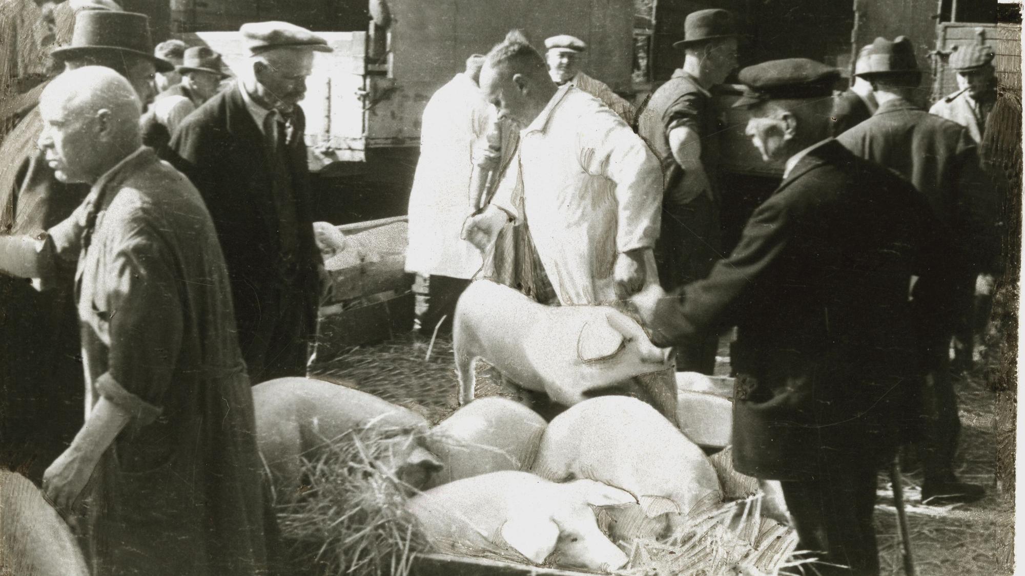 In den 1950er, vielleicht auch in den 1960er Jahren, ist dieses Foto vom Vieh- und Krammarkt in Waldbröl entstanden. Dort wurden damals auch Schweine gehandelt.